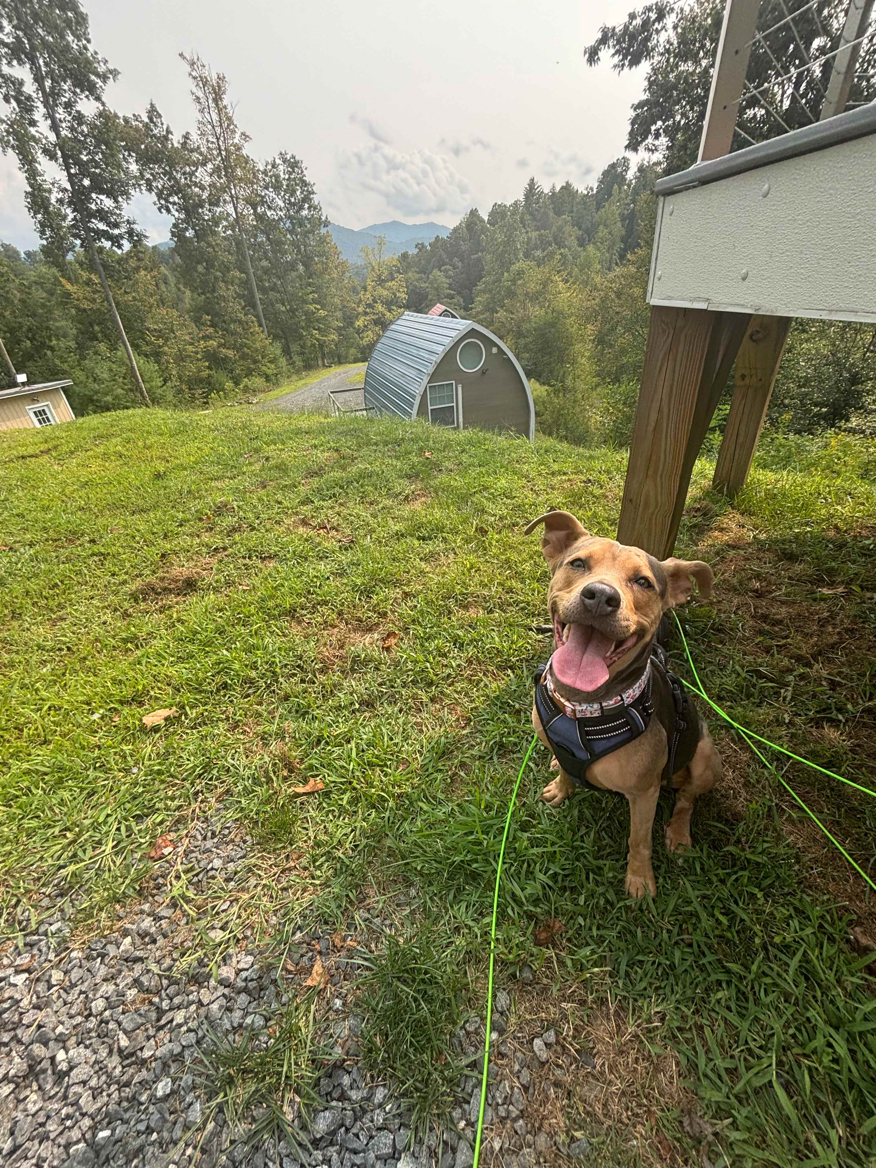 Romantic, hot tub, pet friendly