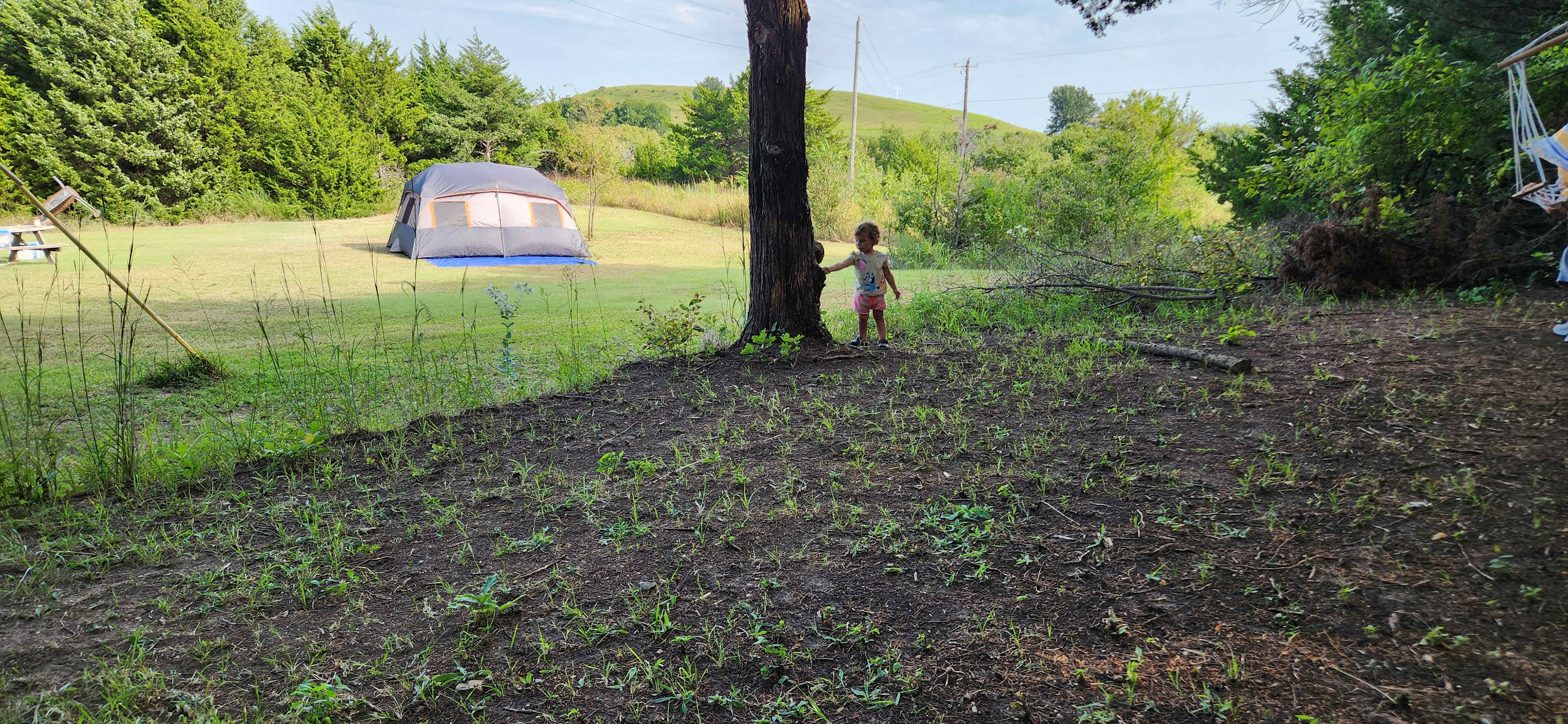 View from shady hammock area (Site 2)