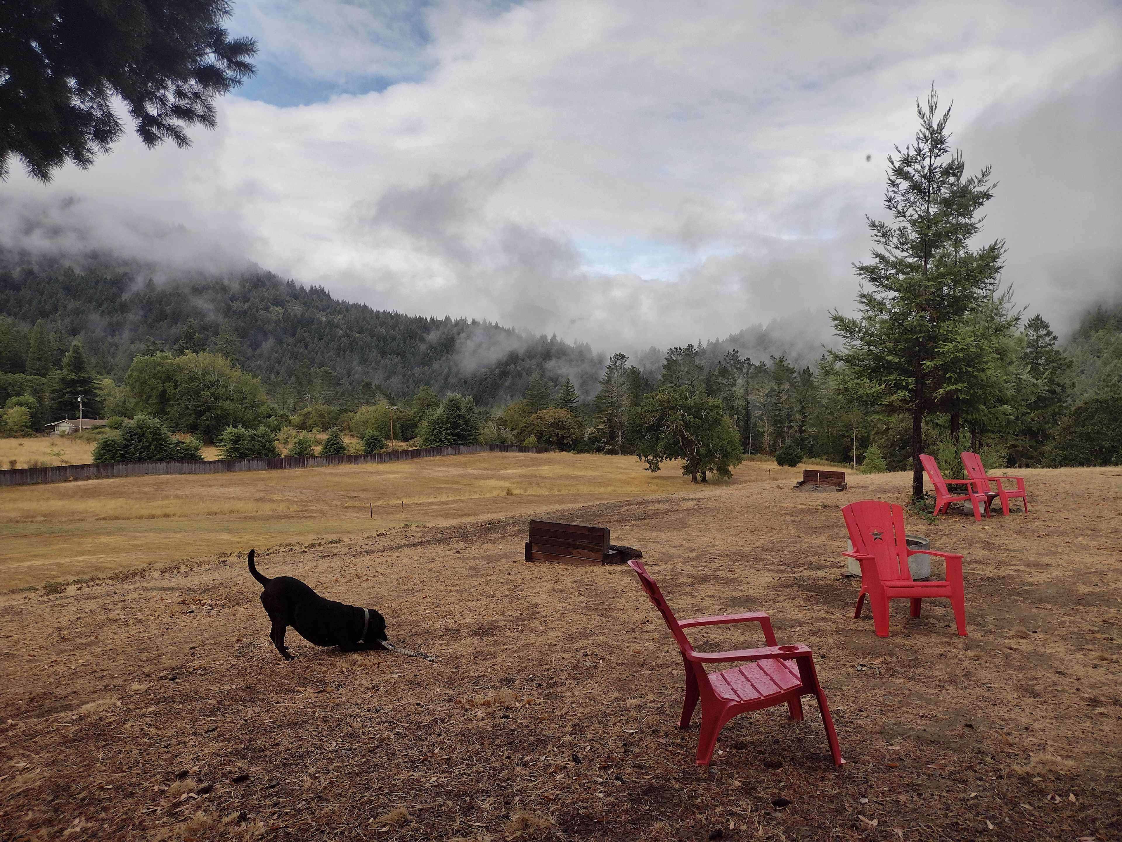 Salmon Creek RV Camping