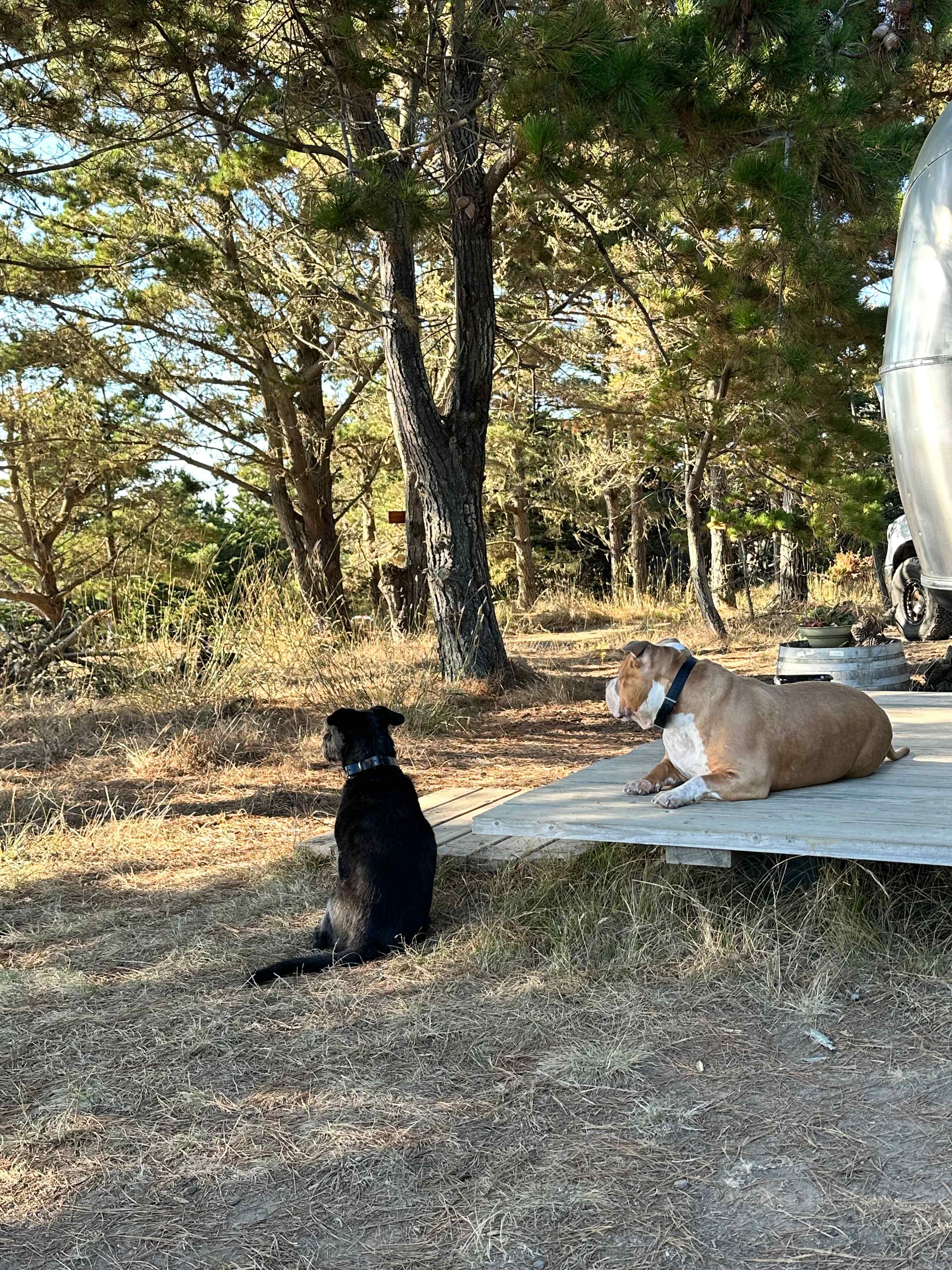 Tunitas Beach Overlook - Airstream