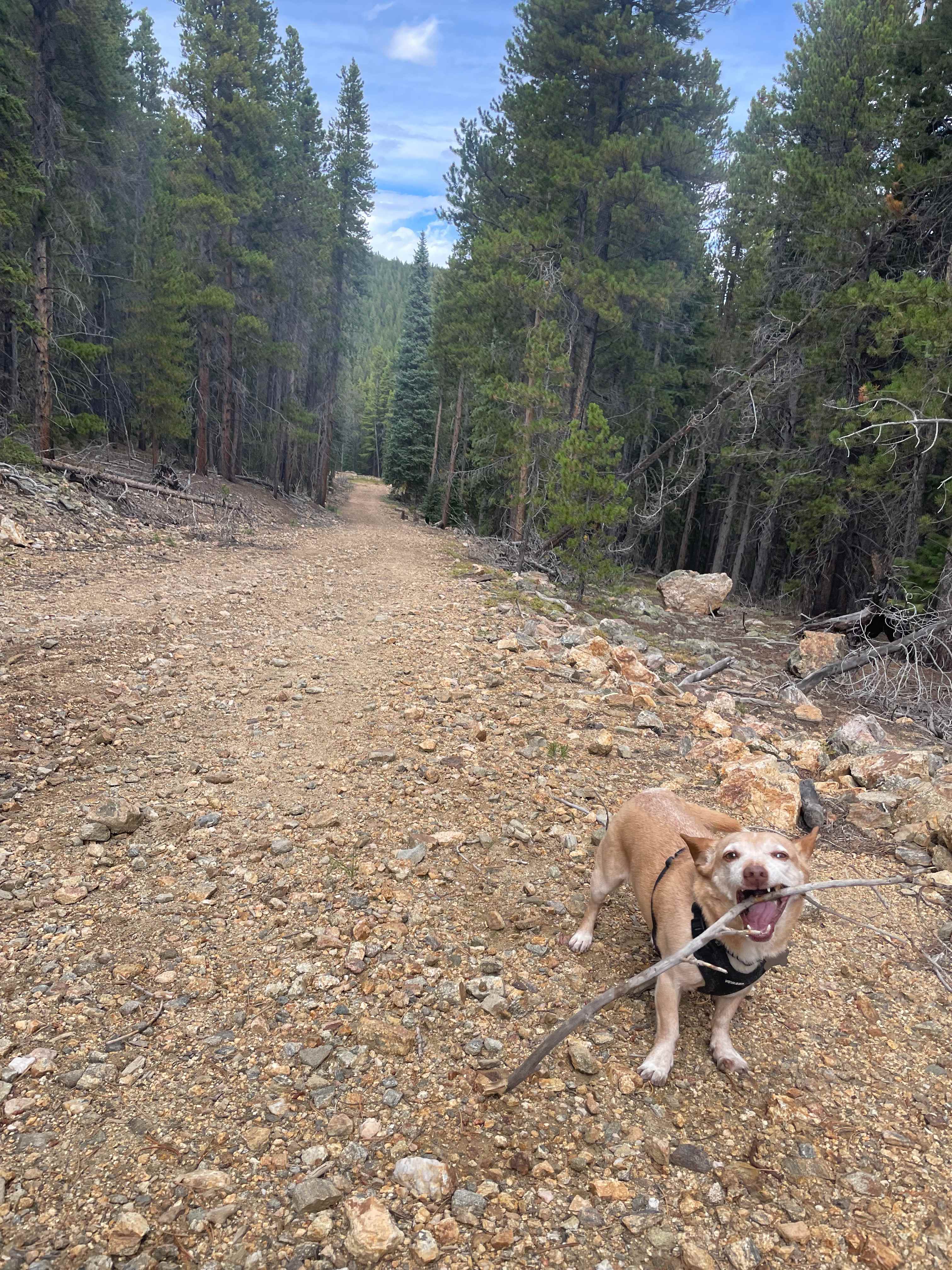 Wideawake Ranch and Waterhouse