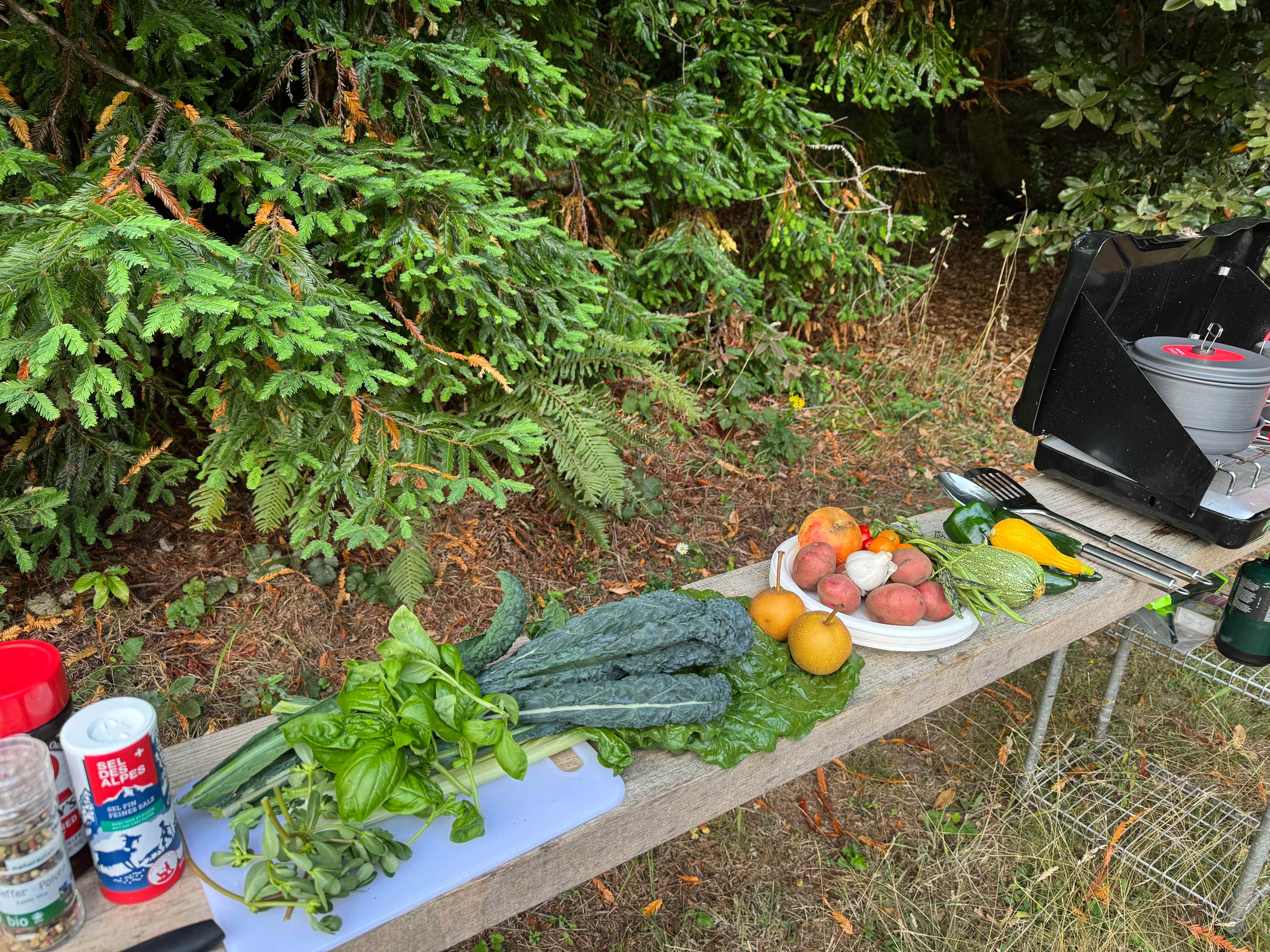 Loved all these fresh veggies!