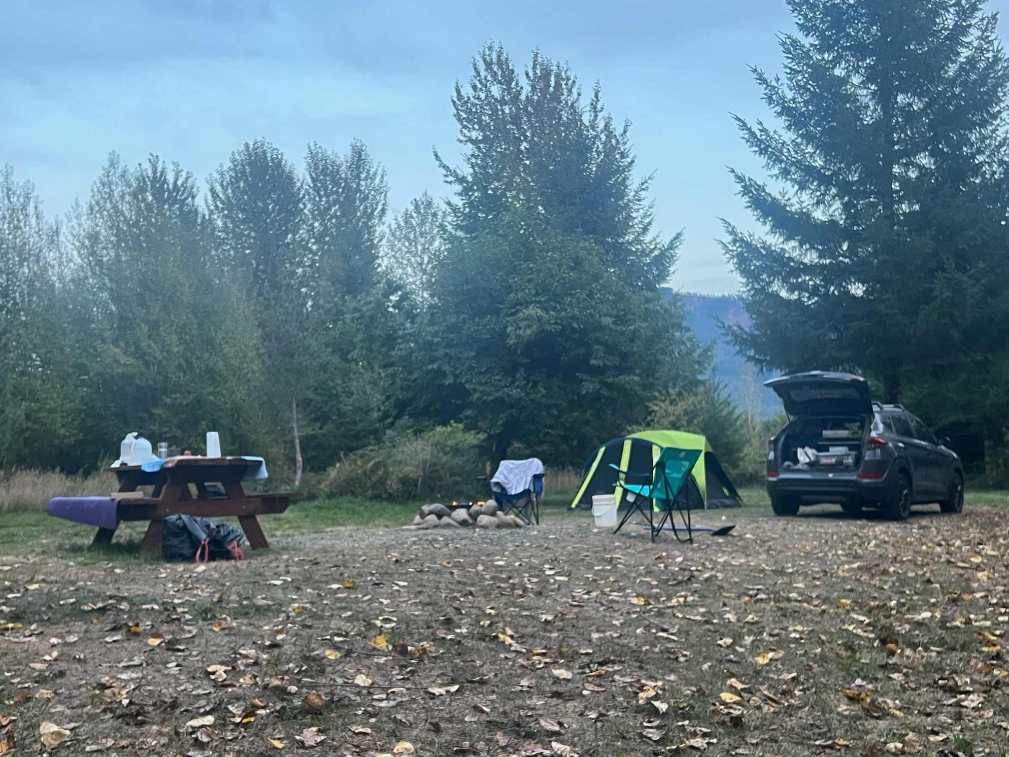 Lone Cherry Grove campsite 