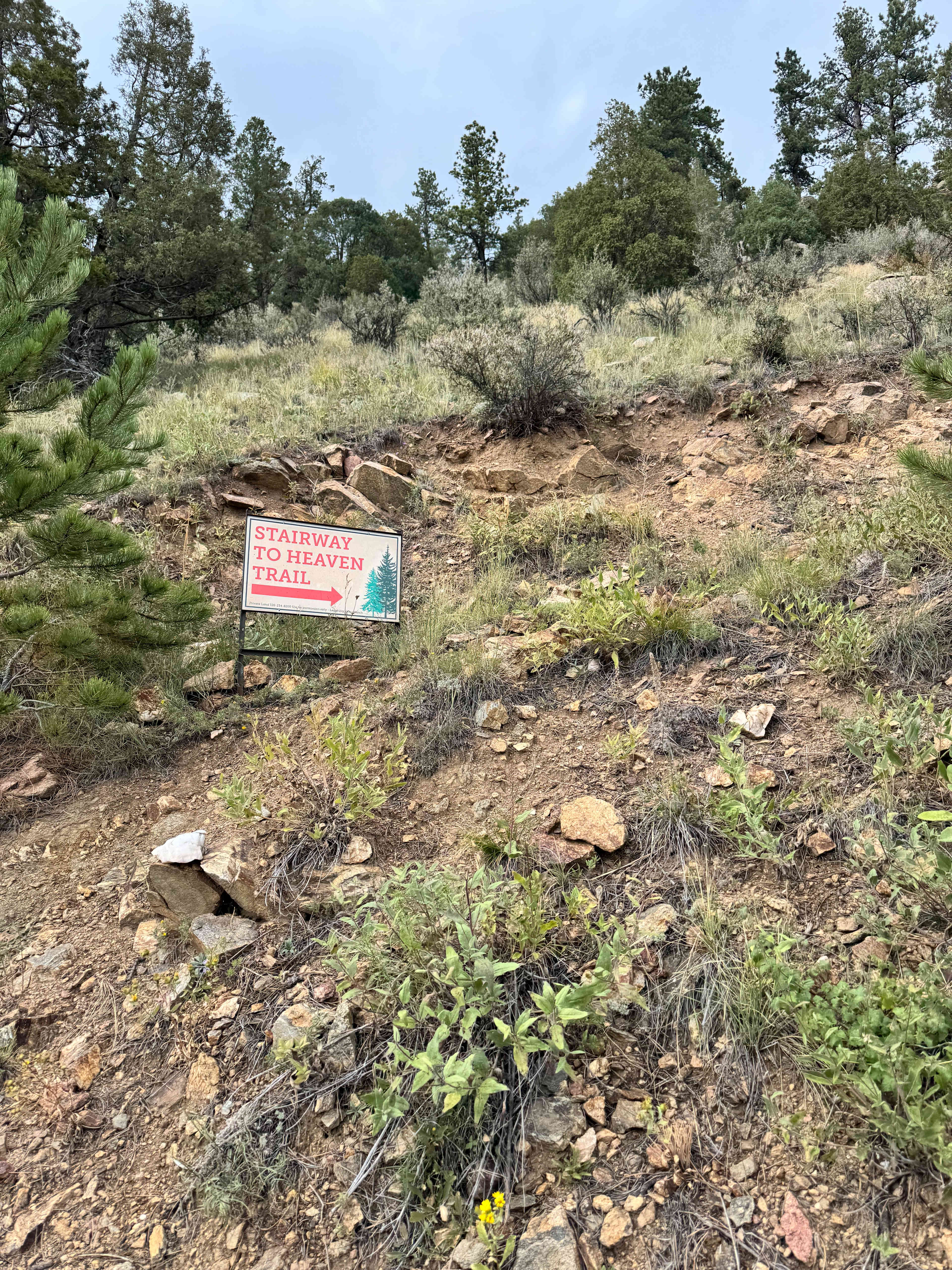 Laughing Valley Retreat