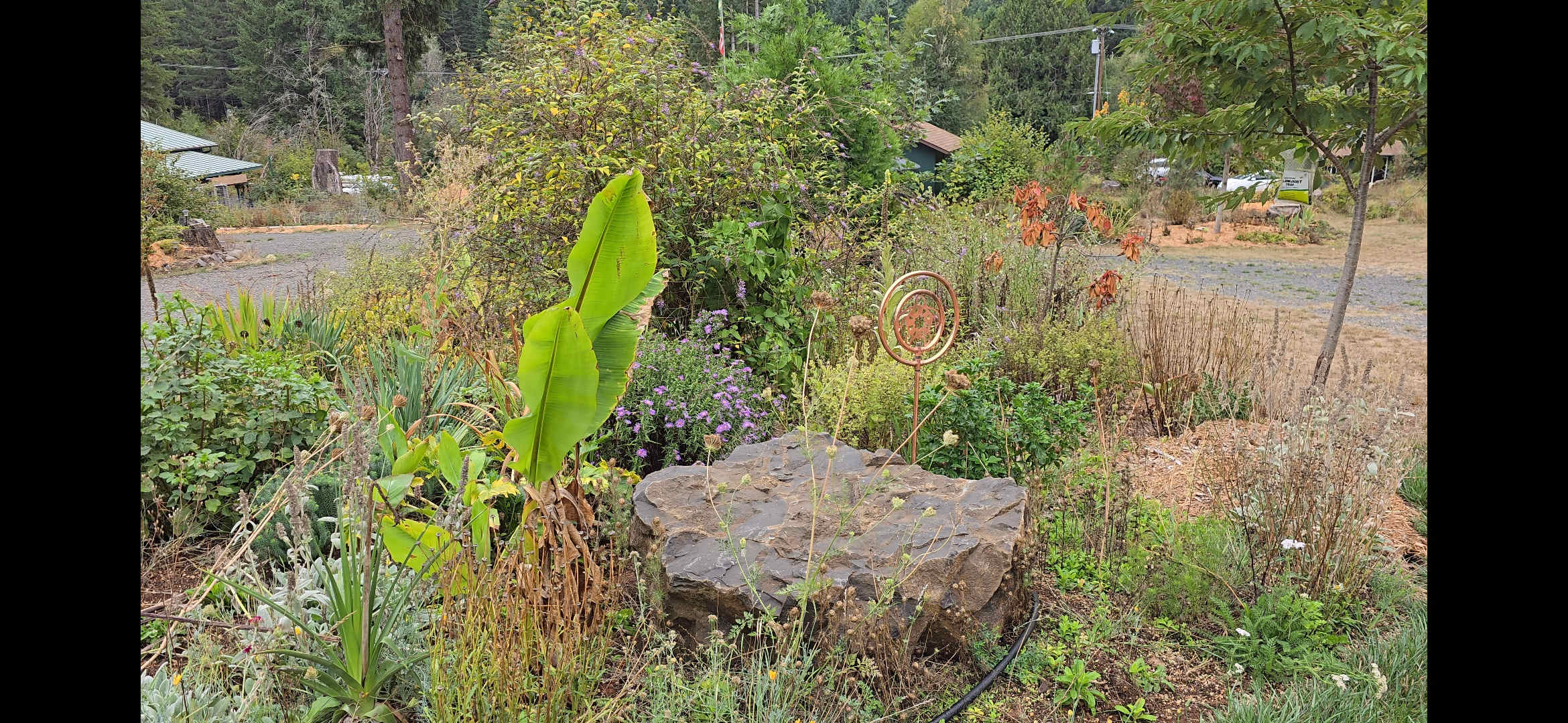 Zen Garden Sanctuary Spa
