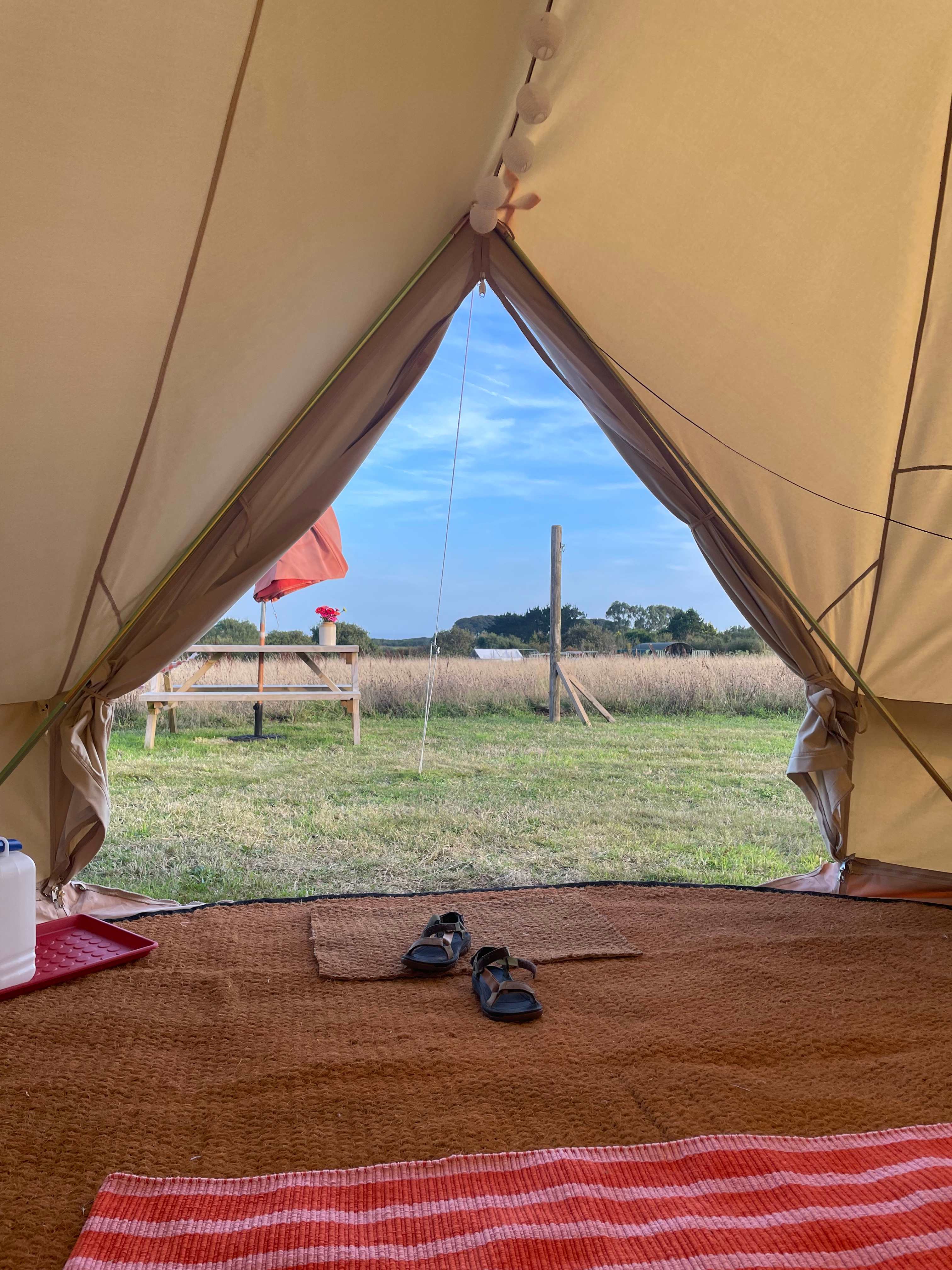 OutStanding In Our Field Devon