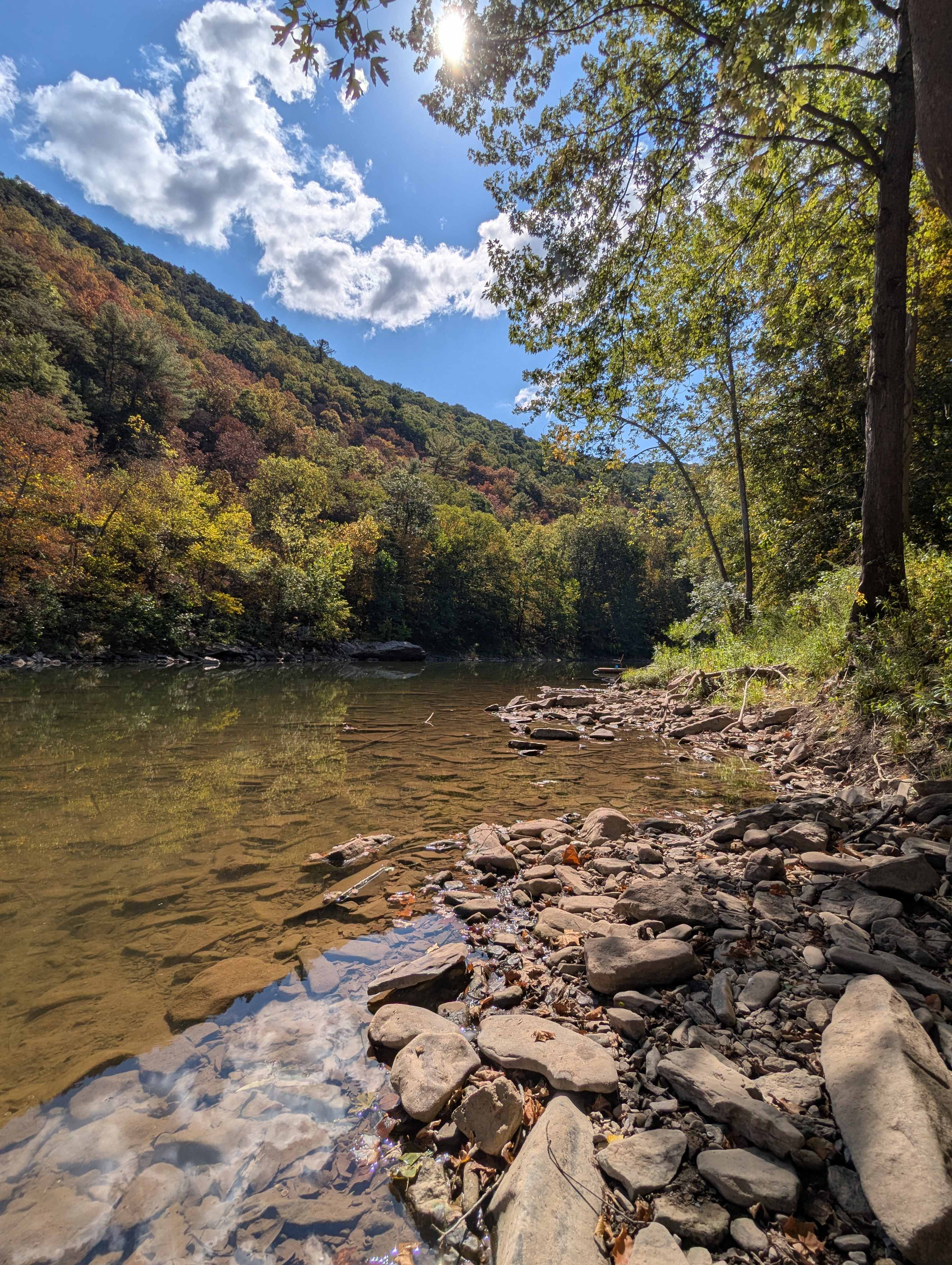 Treehouse Waters On The River