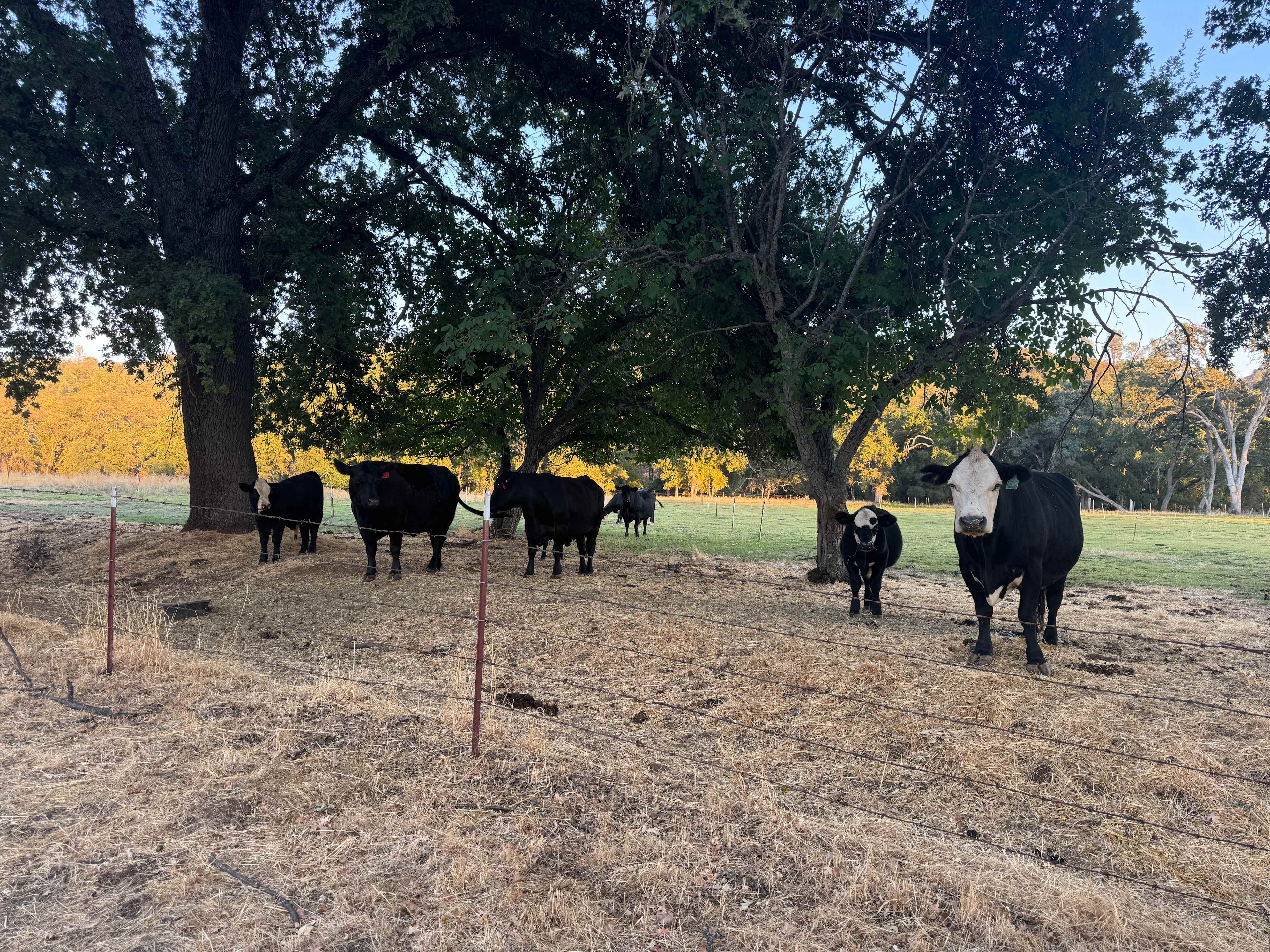 The Land Of Make+Believe