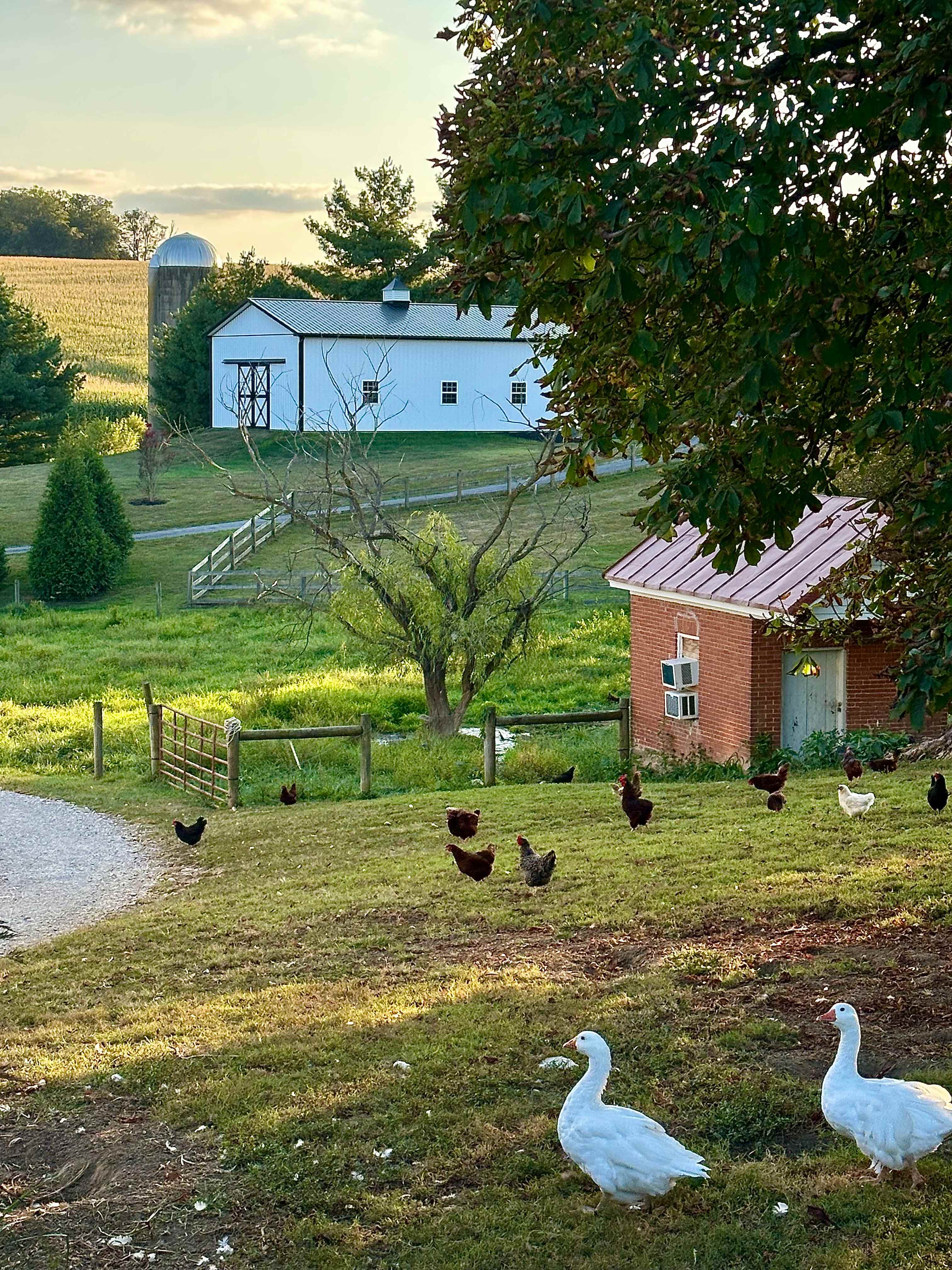 This was the actual view from our RV