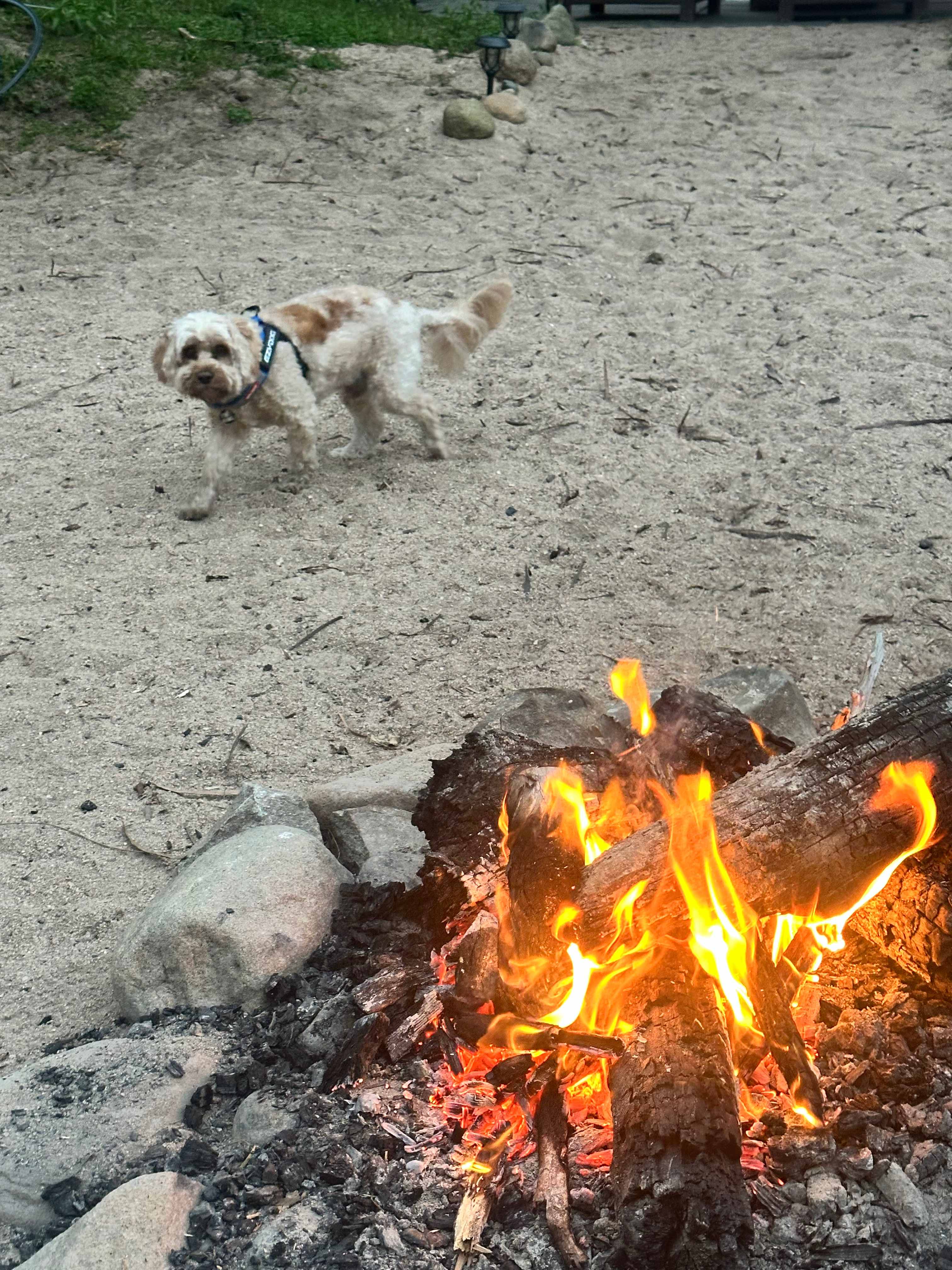 Eagle Ridge Bush Retreat