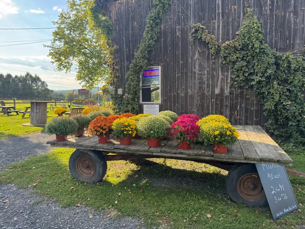 Brown Barn Farms
