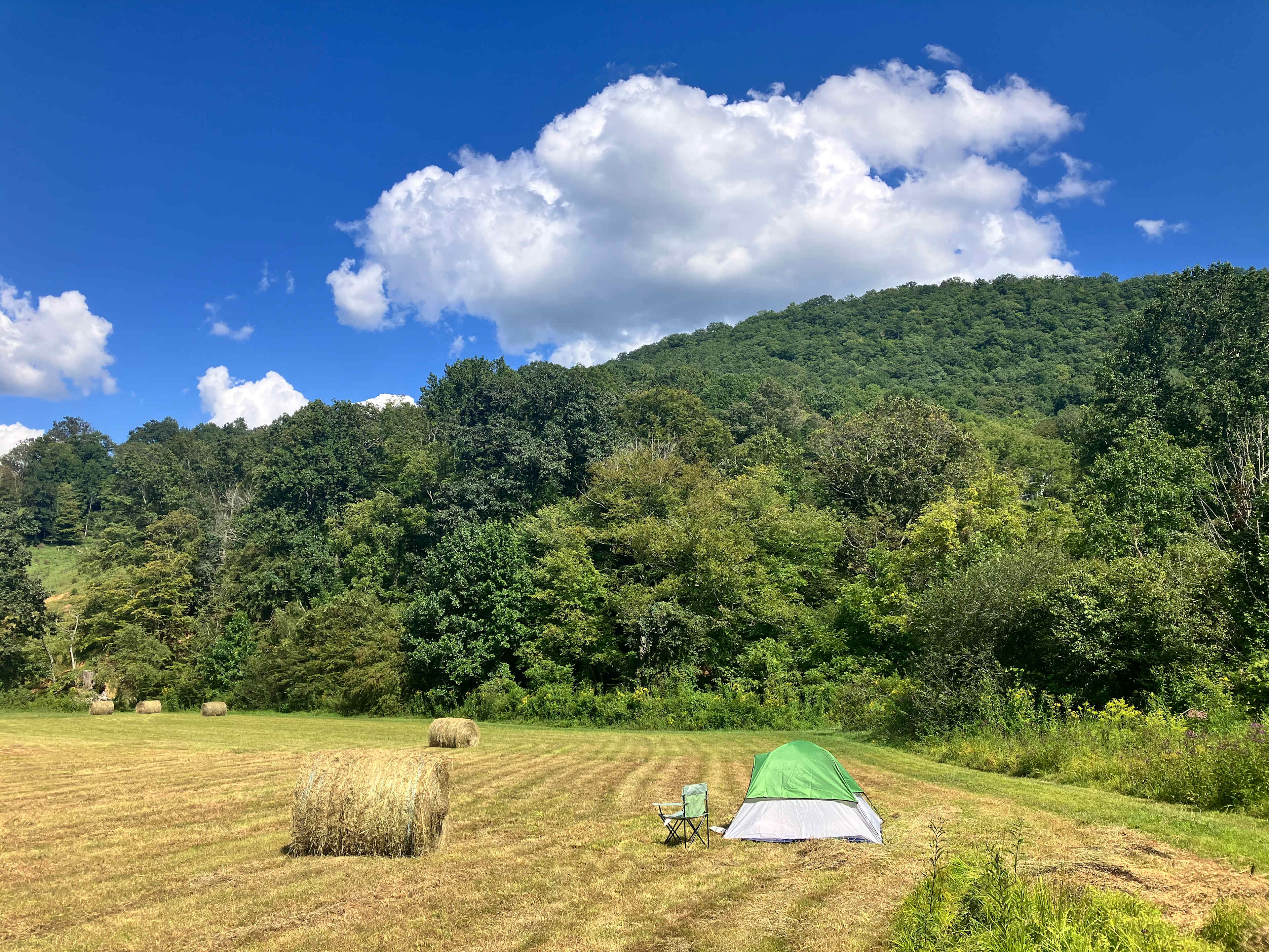 Turkey Creek Oasis~valley views