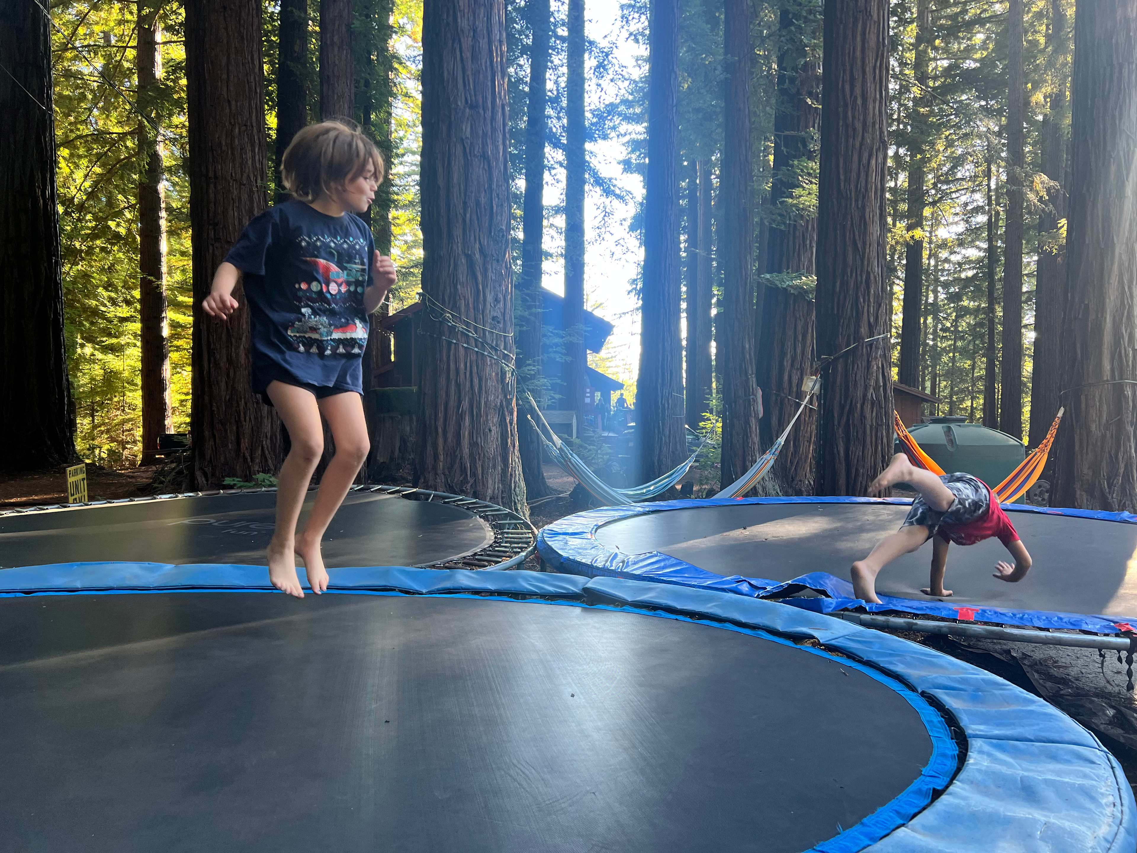 Redwood Paradise Camping