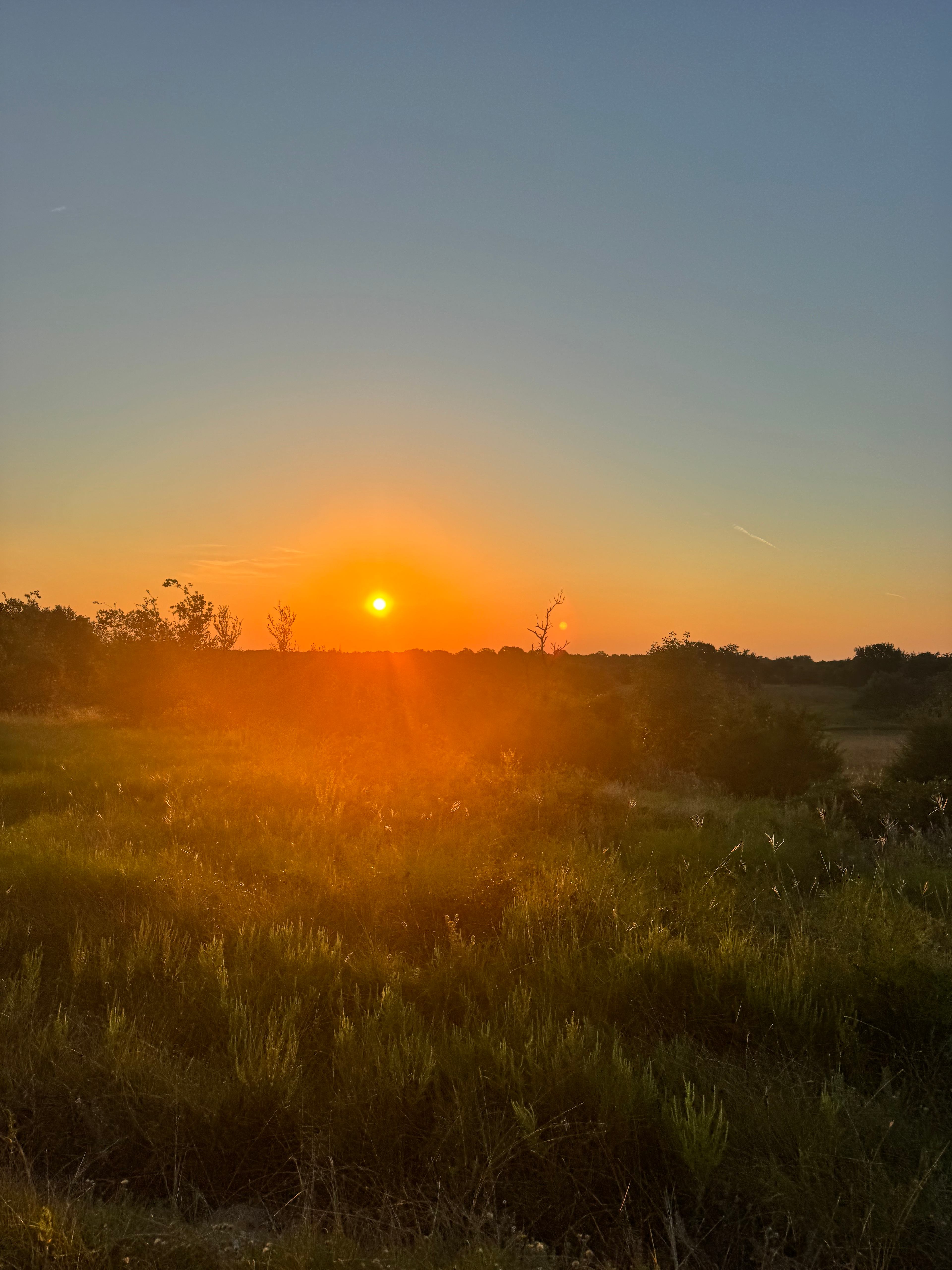 High Hope Ranch