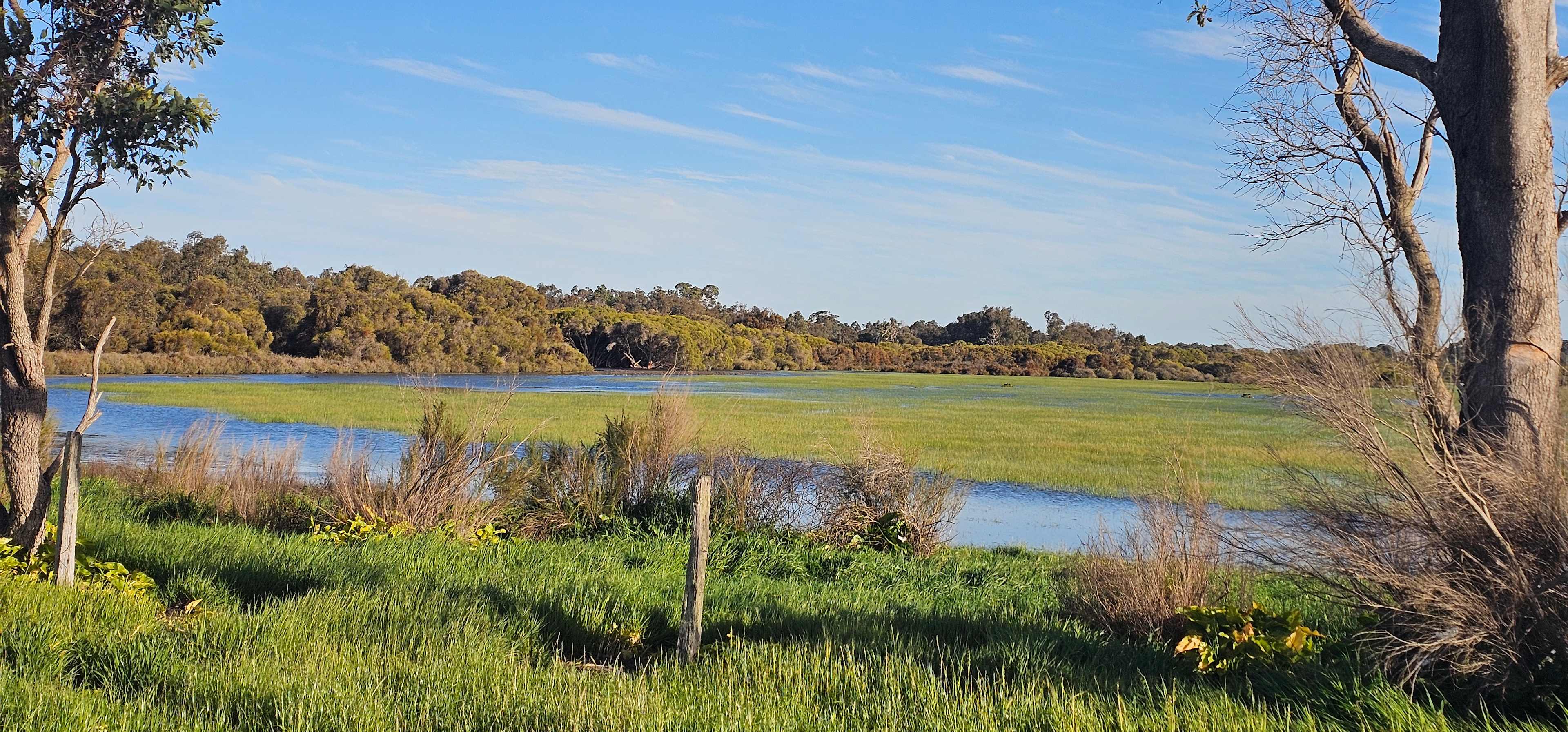 Amazing views across the seasonal wetlands, nesting swans and wildlife a plenty.  Wedgetail Eagles, Whistling Kites and White Bellied Sea Eagles. 