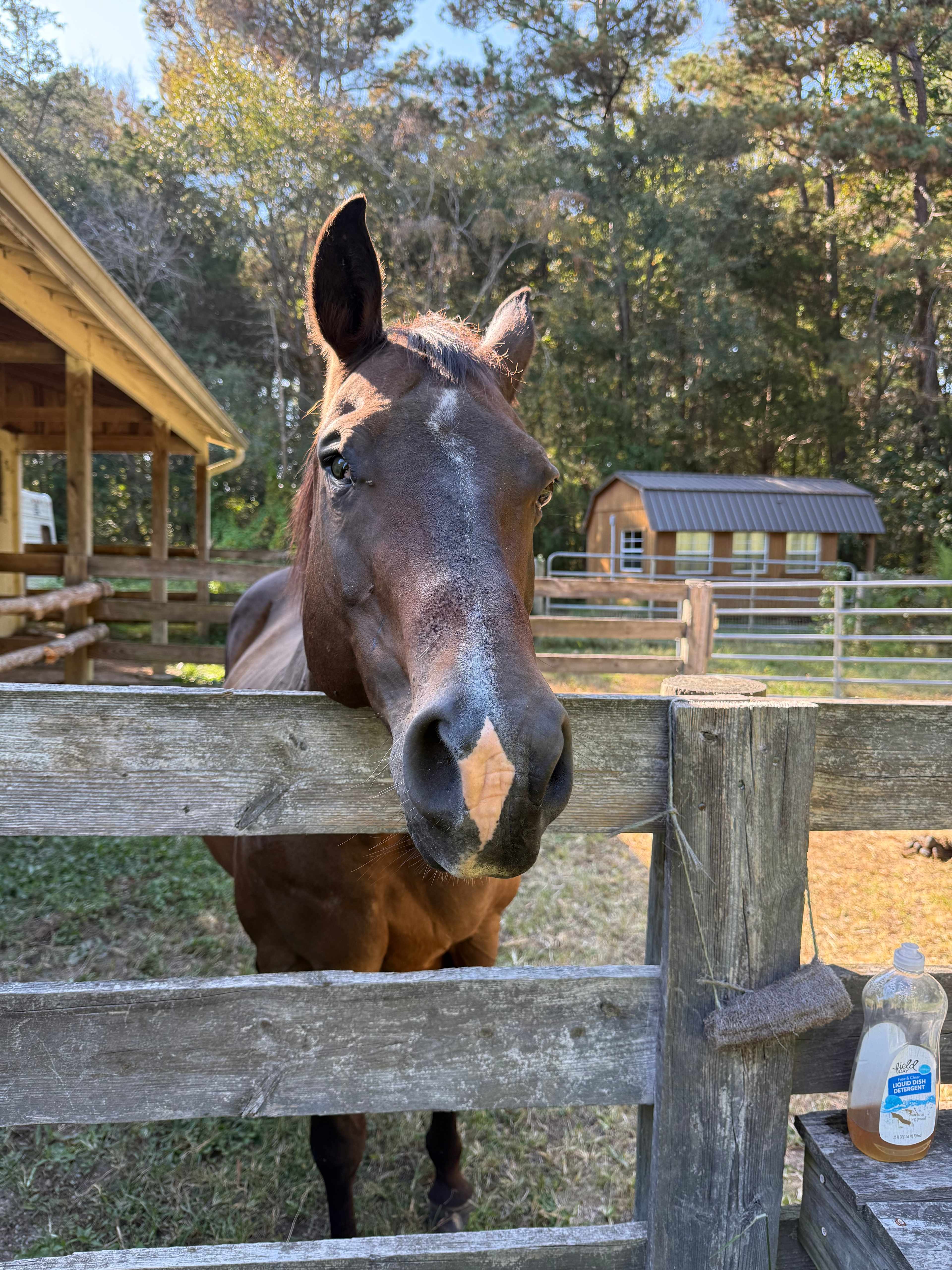 Cool Creek Farm