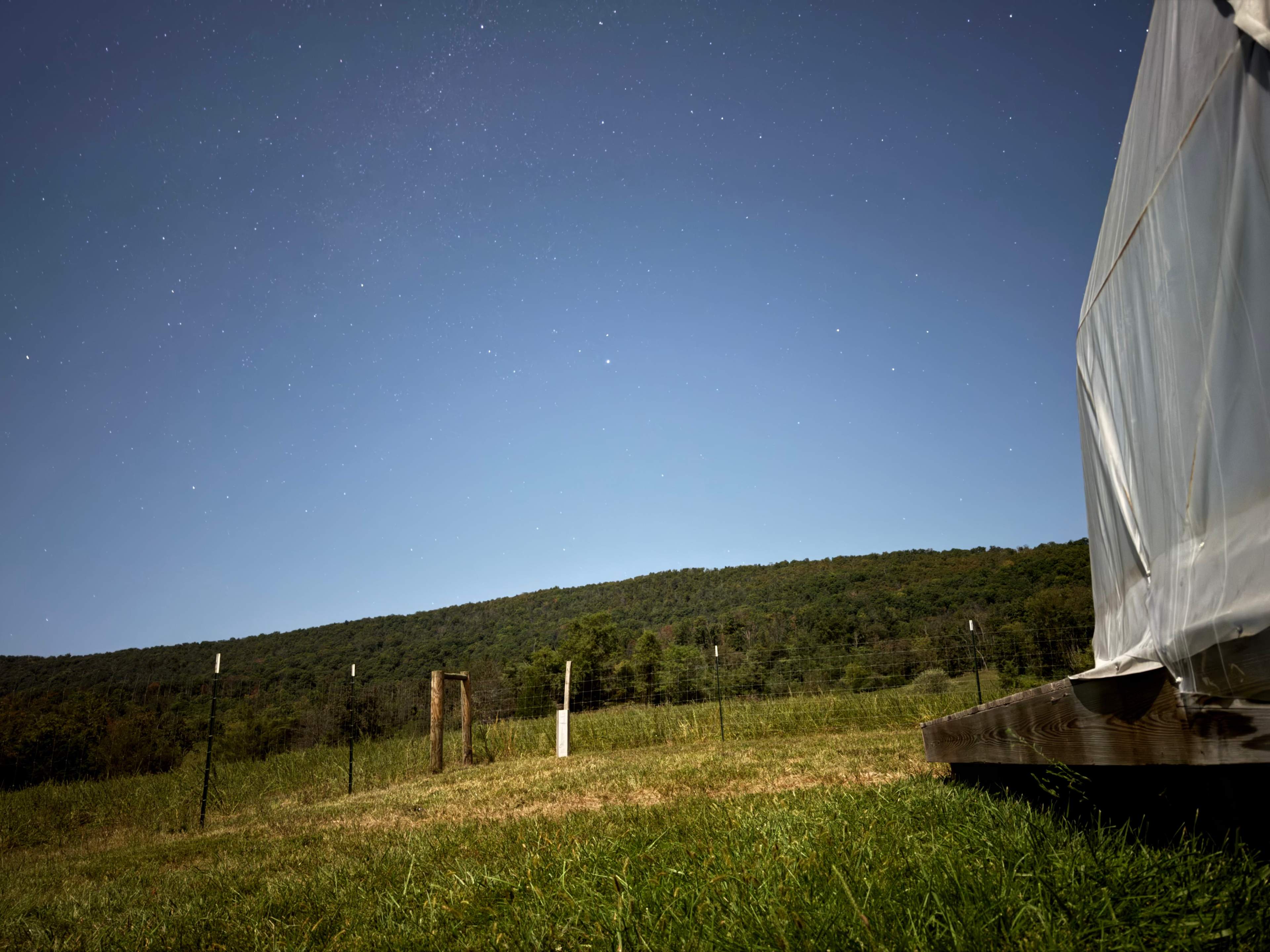 Our Farm in Strasburg, VA