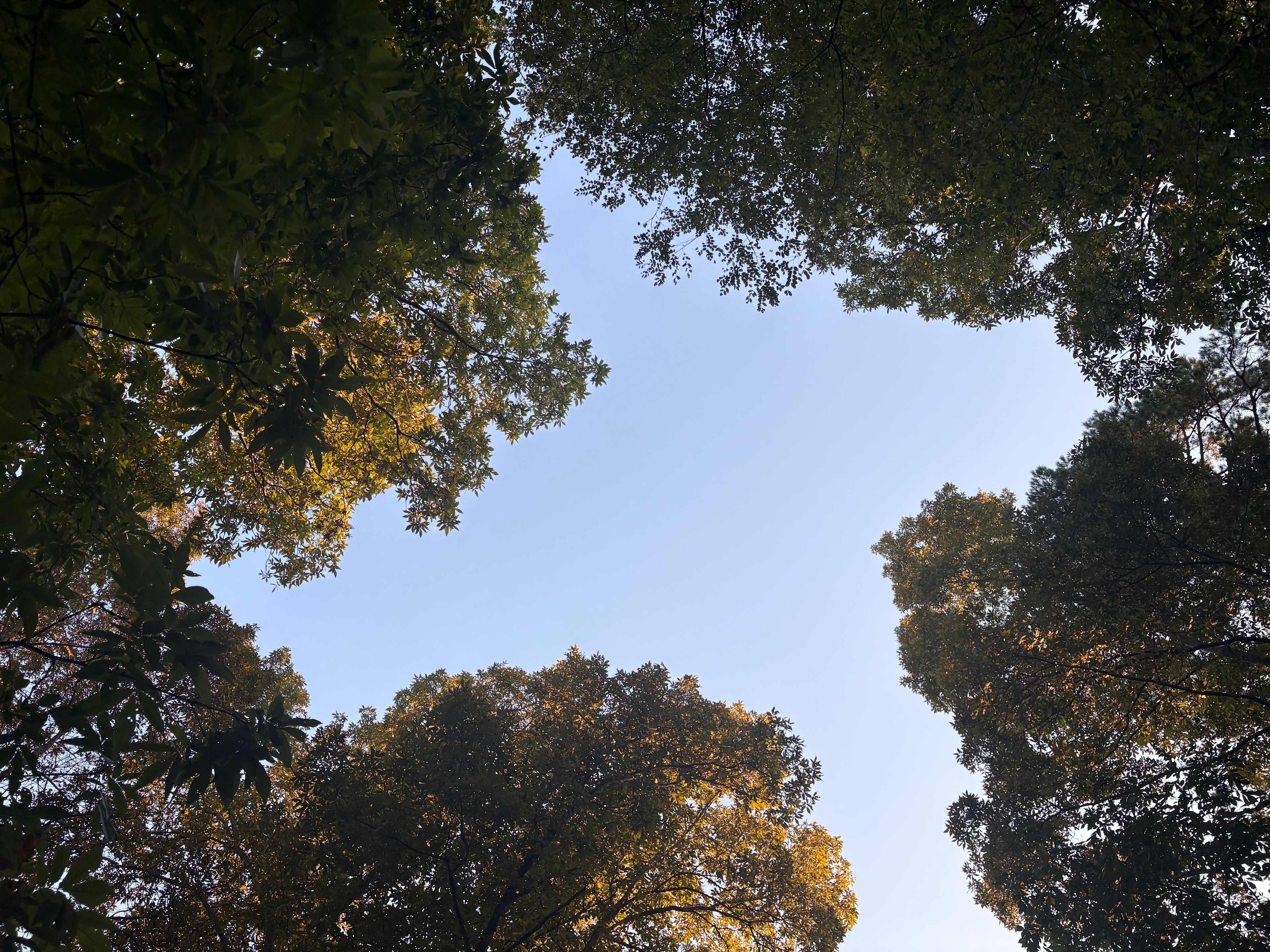 Twin Valley Horse Ranch