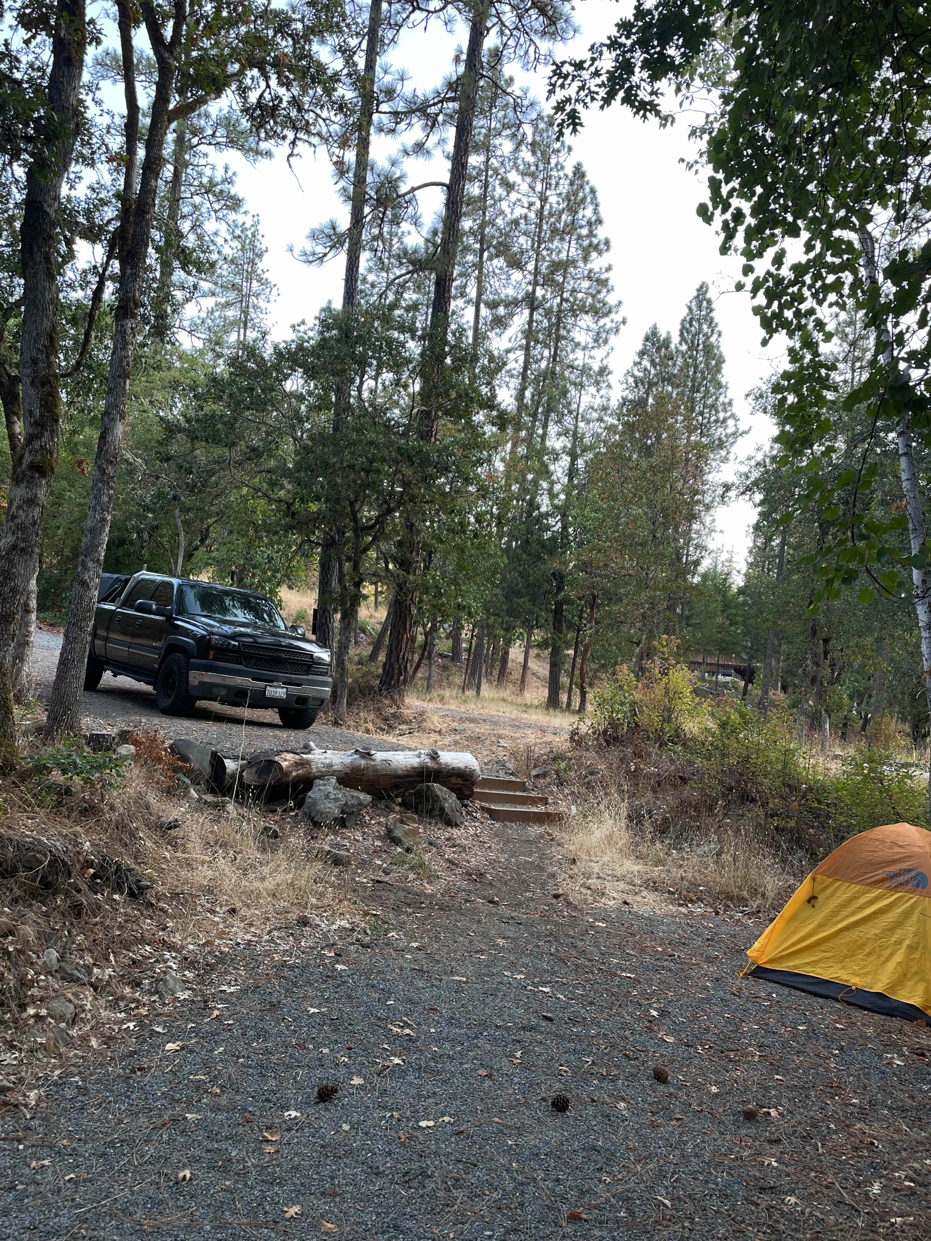 Forested creekside campsite