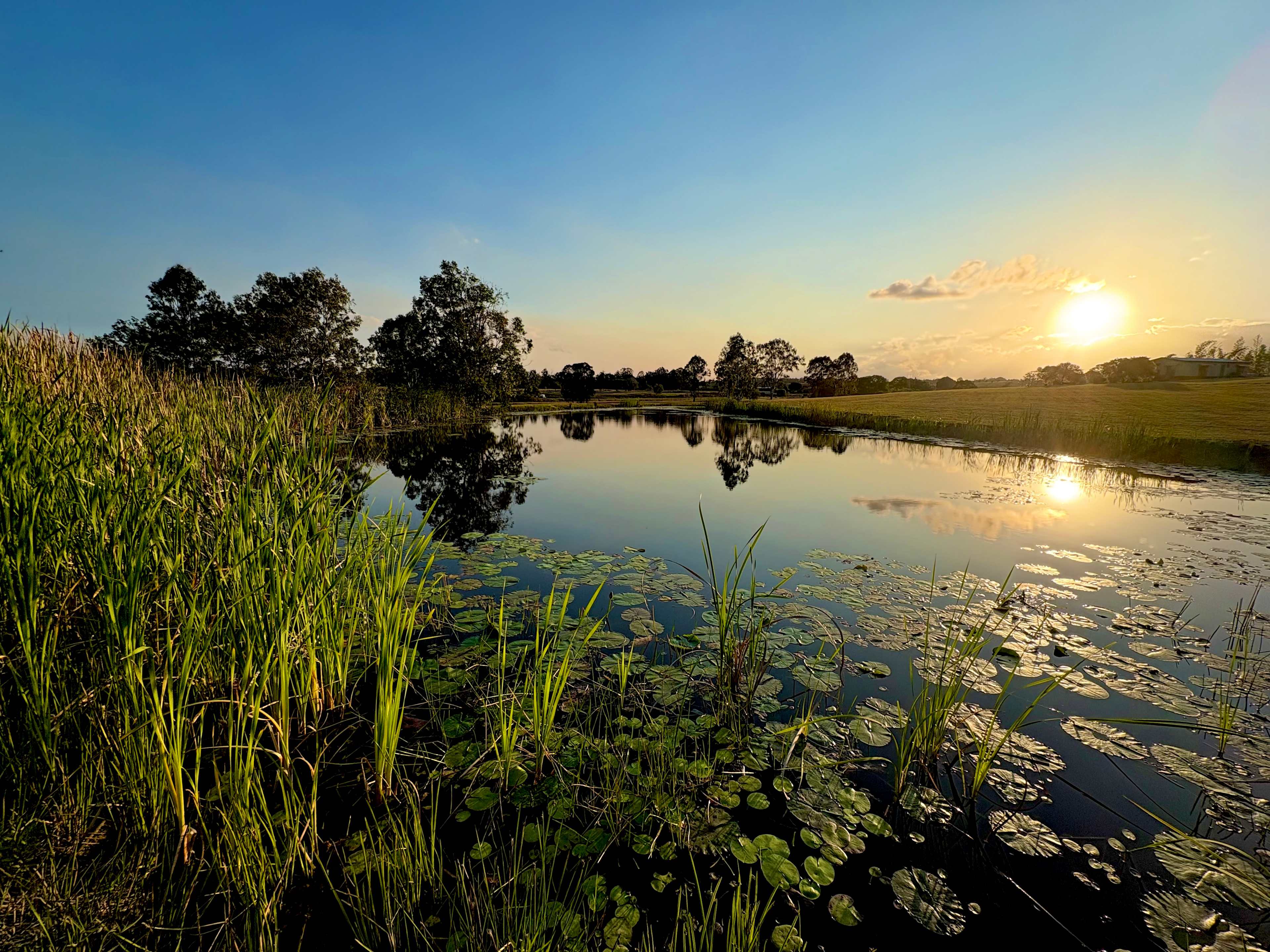 Ahead of Time - Green Acres Camping