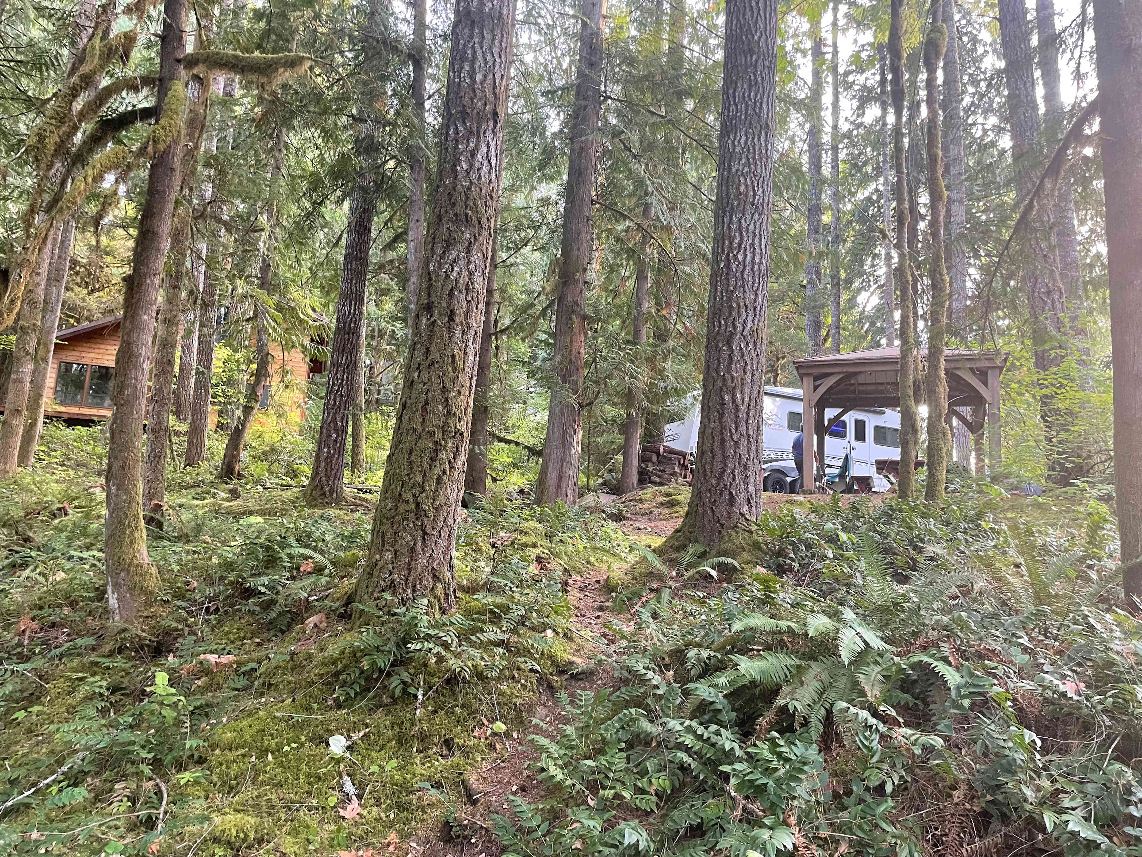 View of one of the cabins on side of site.