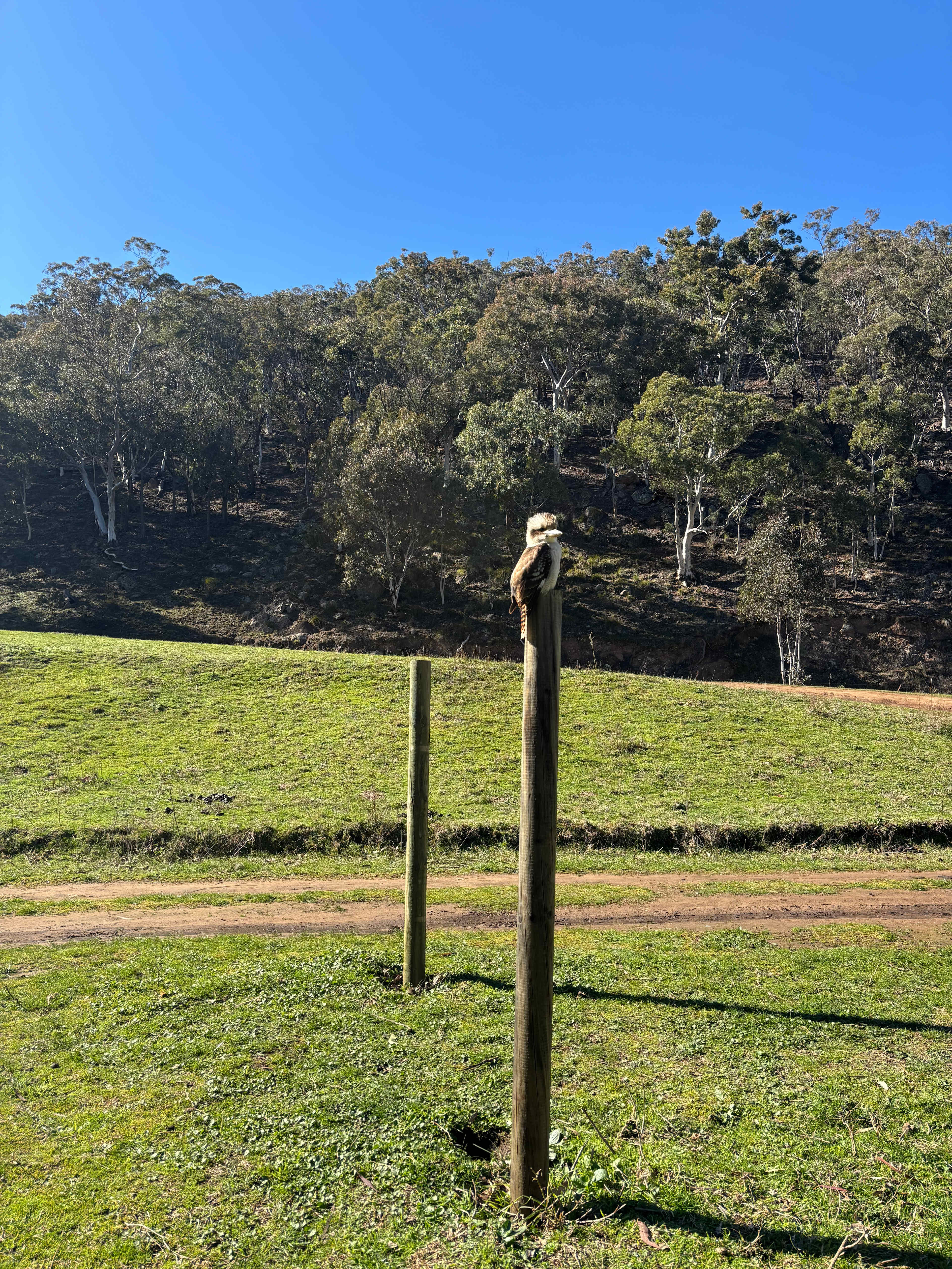 Riverside Camping, Glamping, Cabins