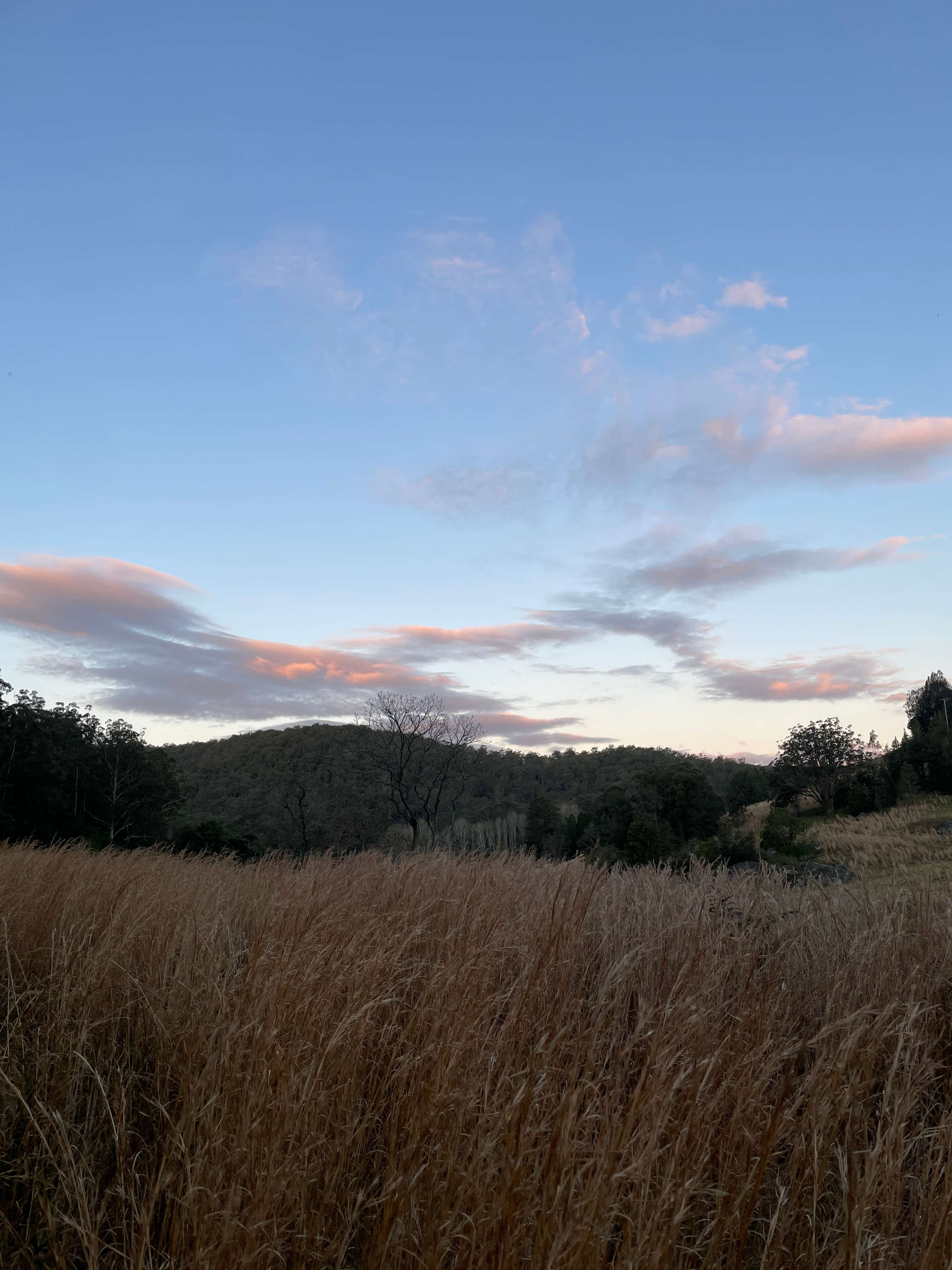 Central Coast Valley Farm