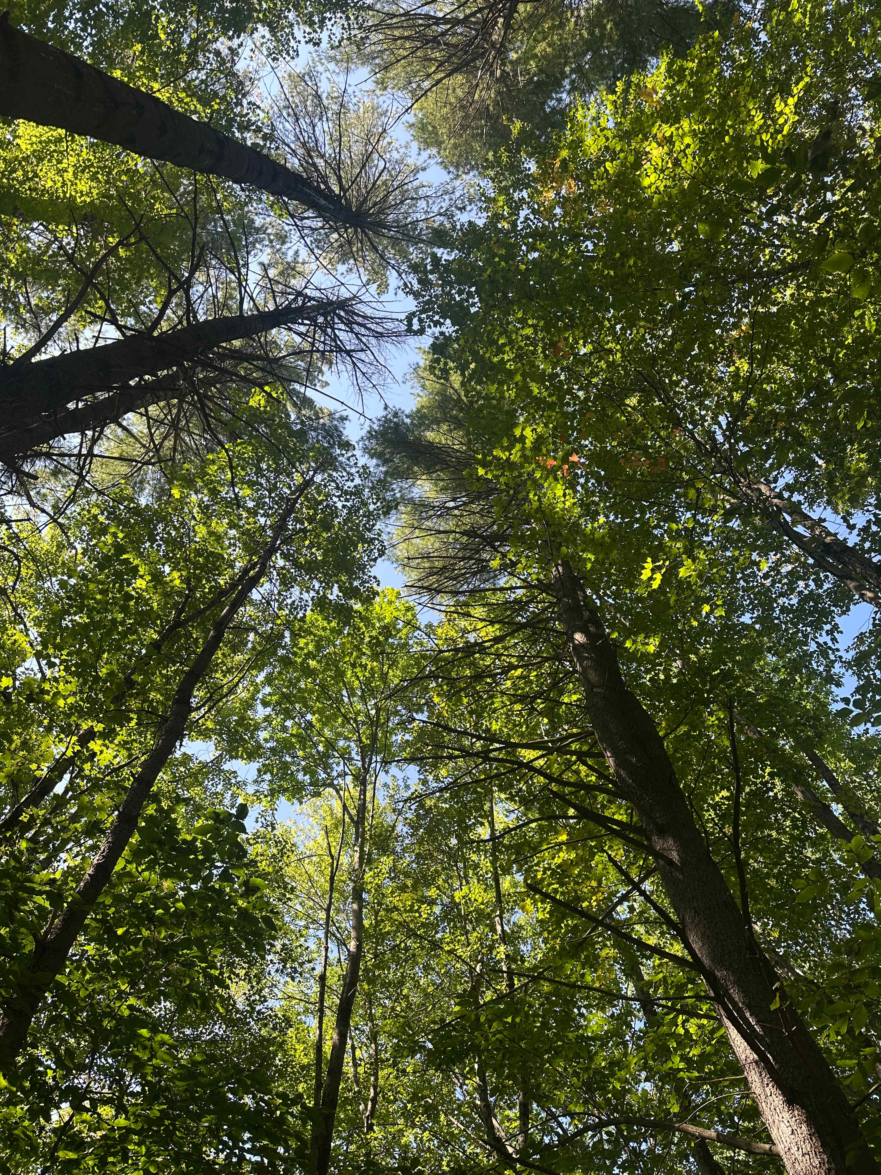 Camp TedRock  Adirondack Retreat