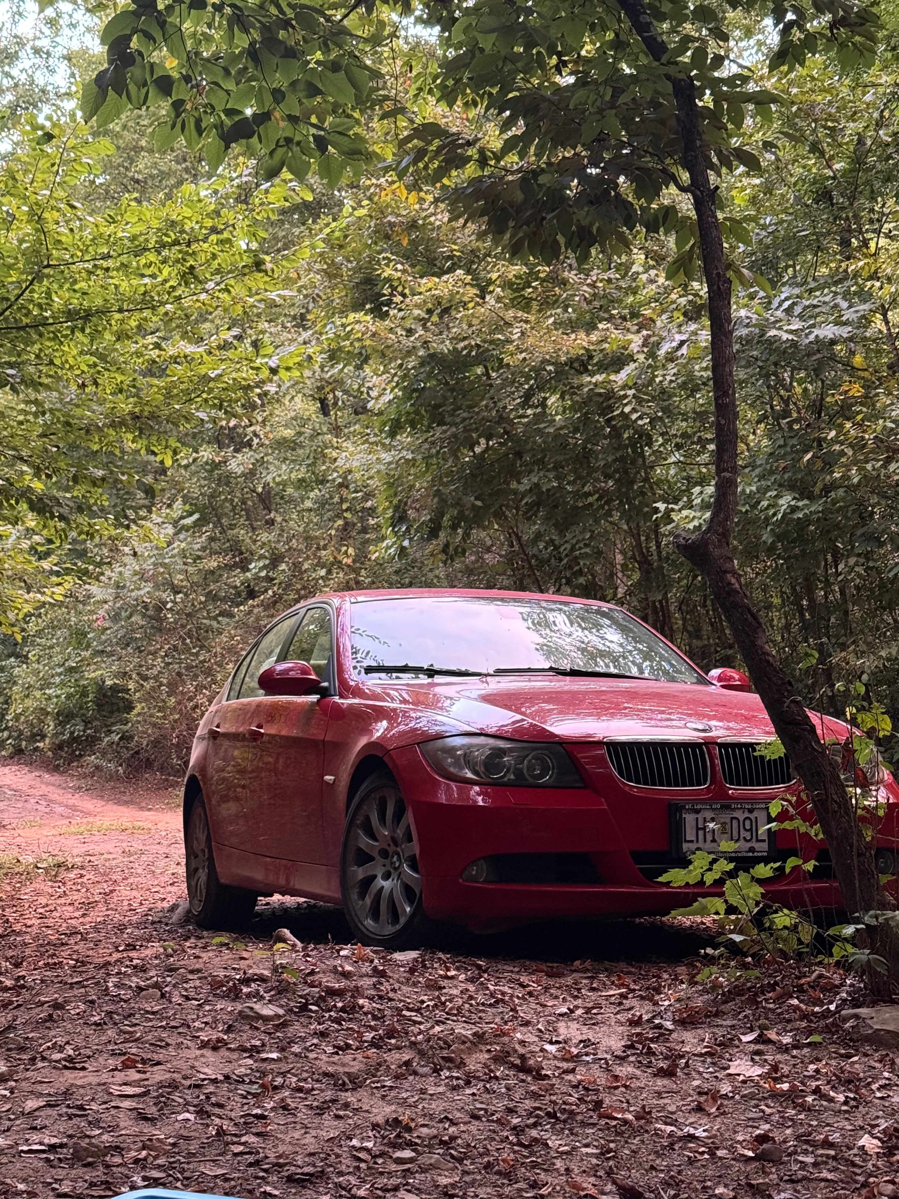 My little car sitting nestled in the trees 