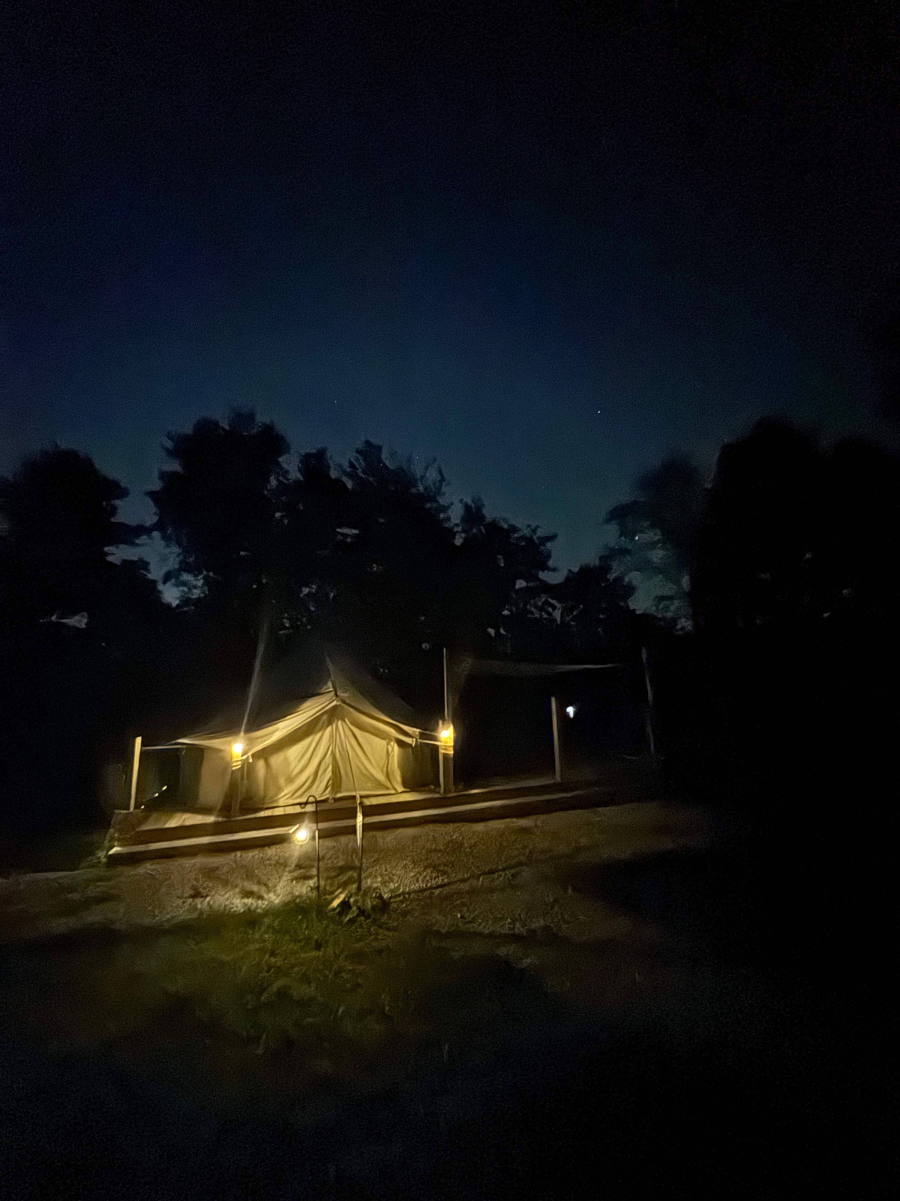 Mollys Ridge Glamping and Camping