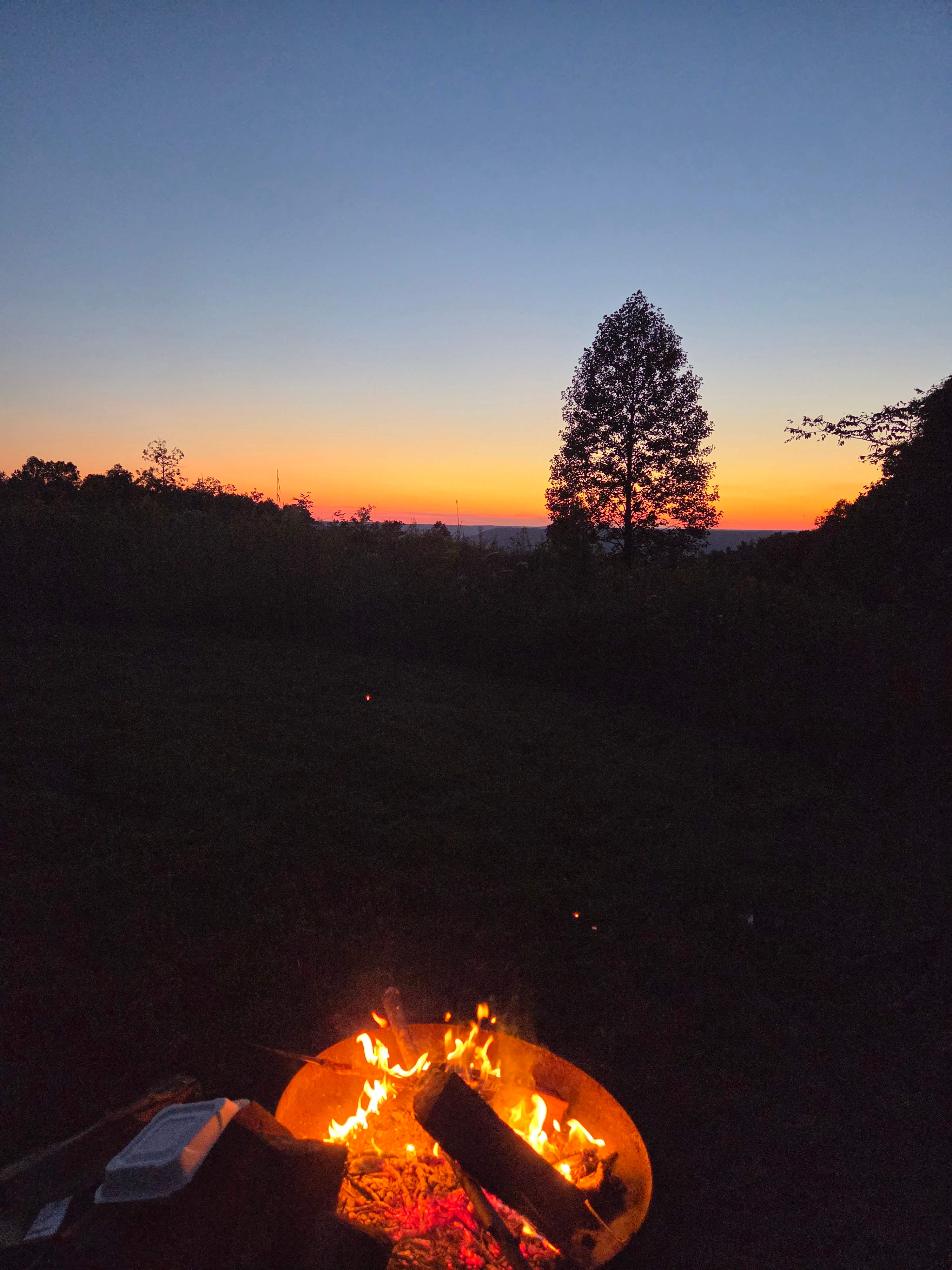 Whippoorwill Woods Nature Retreat