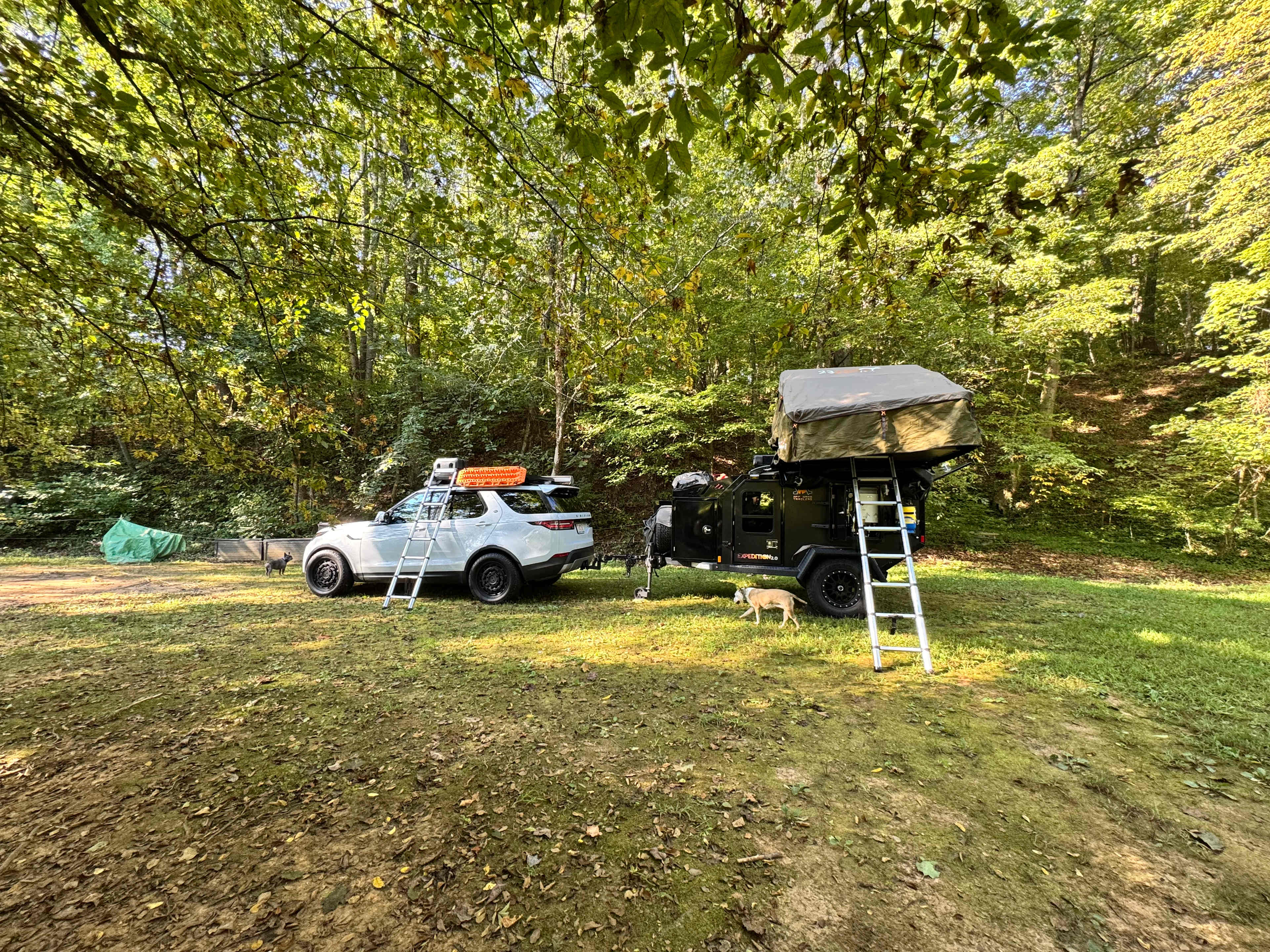 Kohler Farms-A Shire Horse...