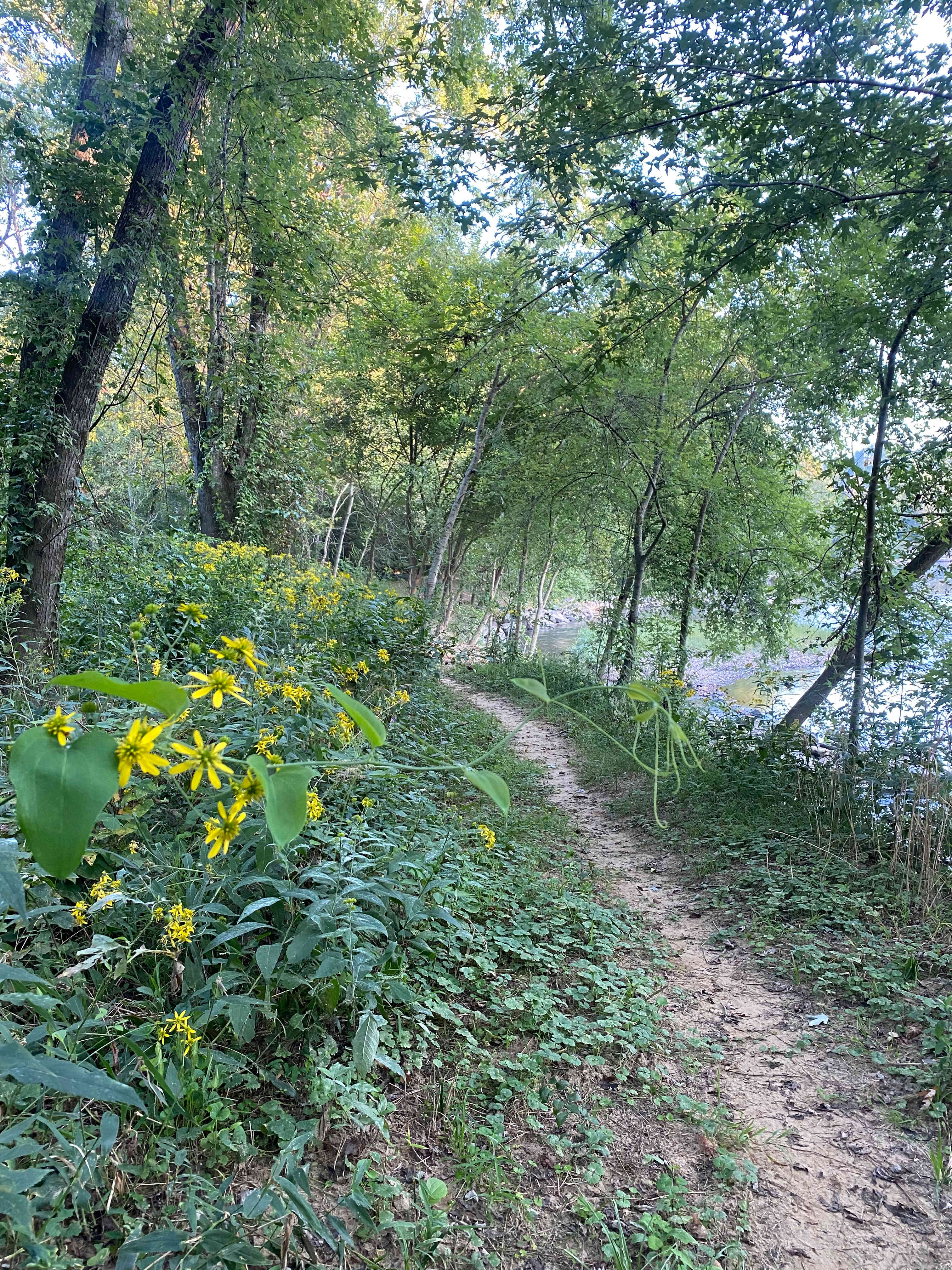 Ouachita River Haven