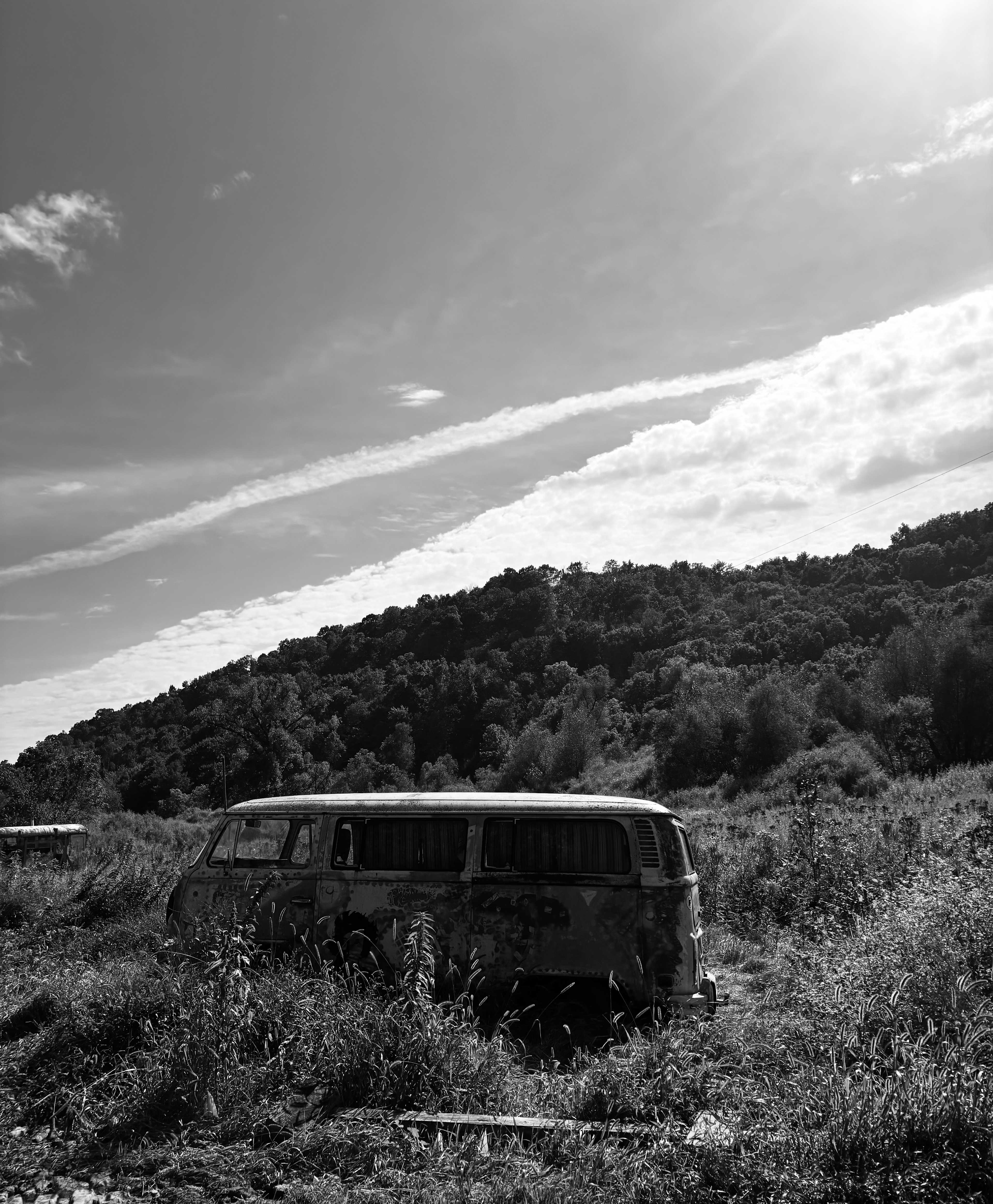 🦫 Flutterby 🦋 Farm 👩🏽‍🌾