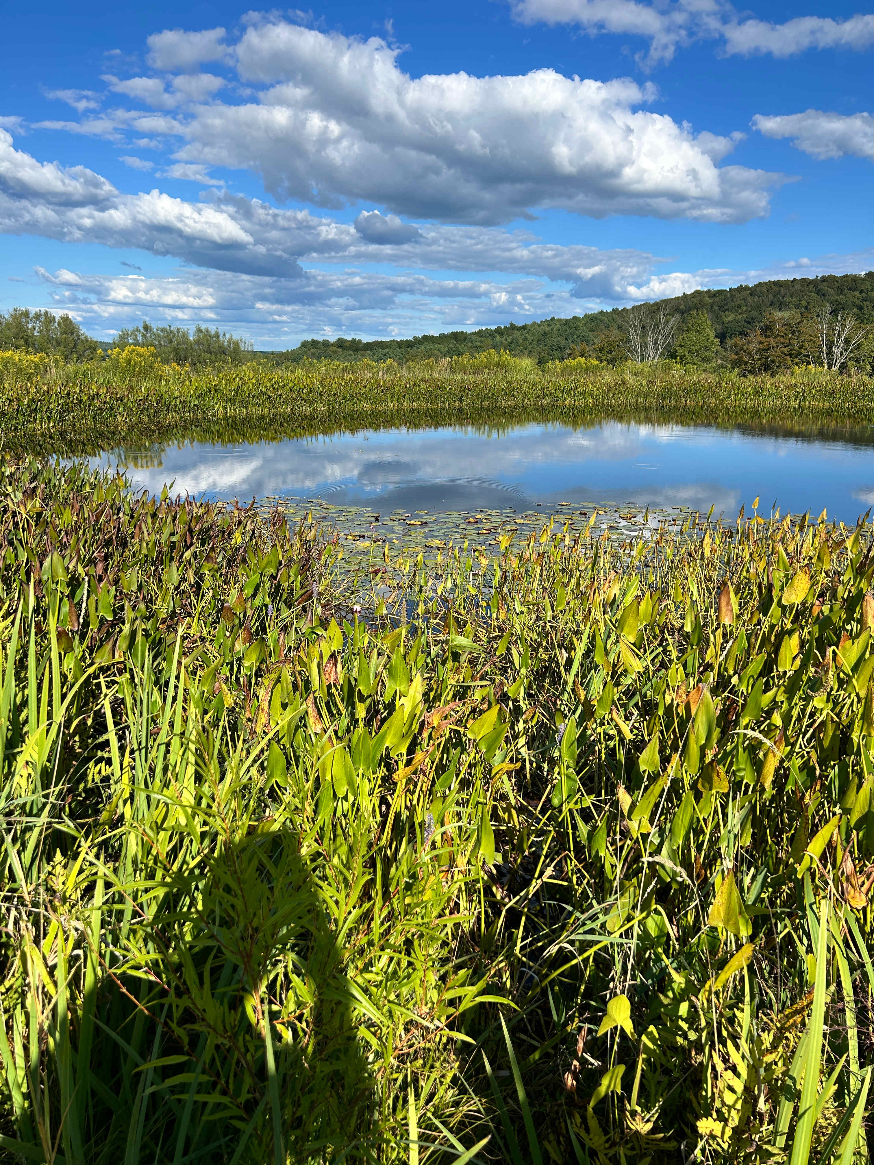 Red House Ranch Camp