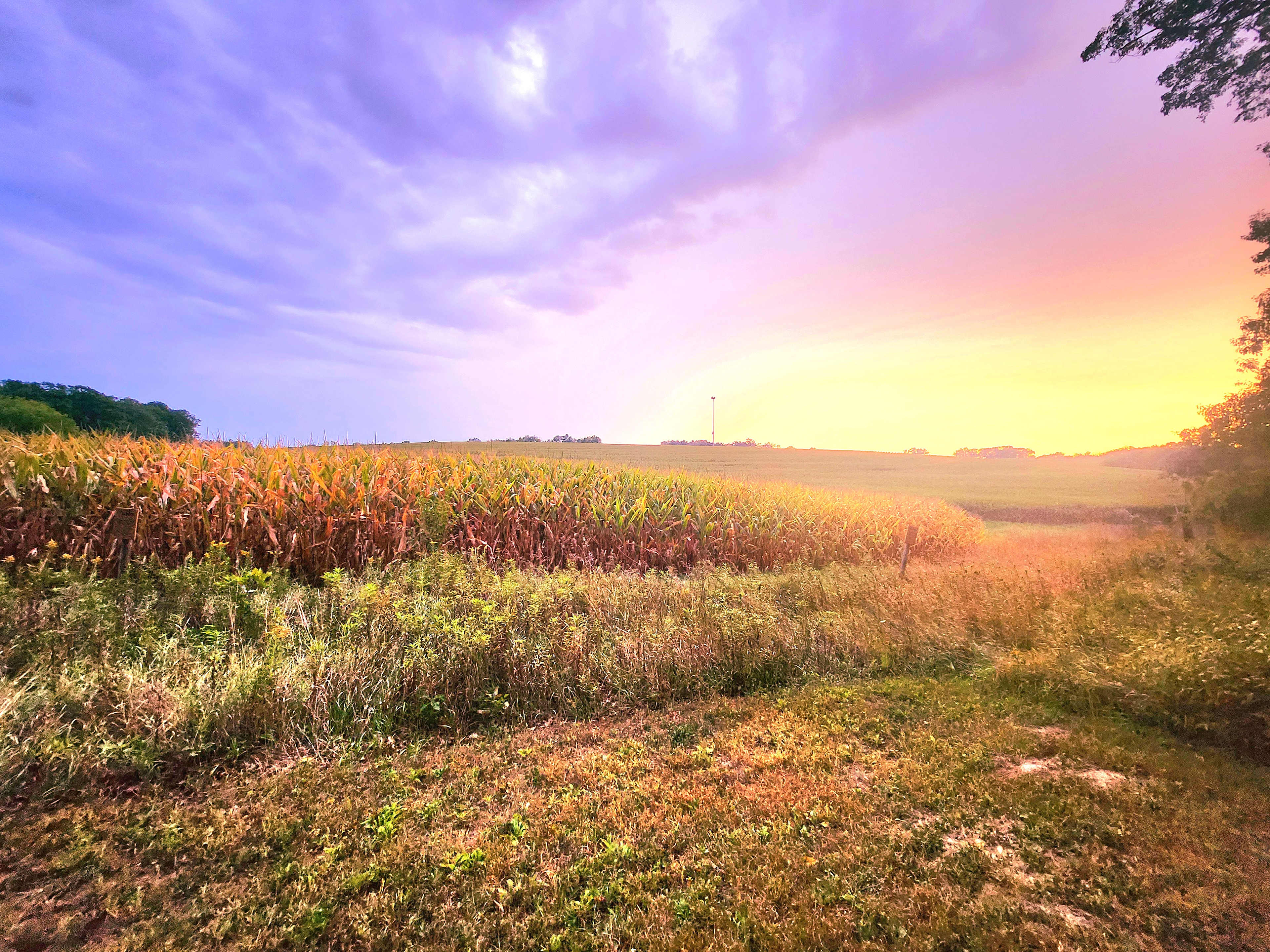 Sunset view at the top of the bluff. 