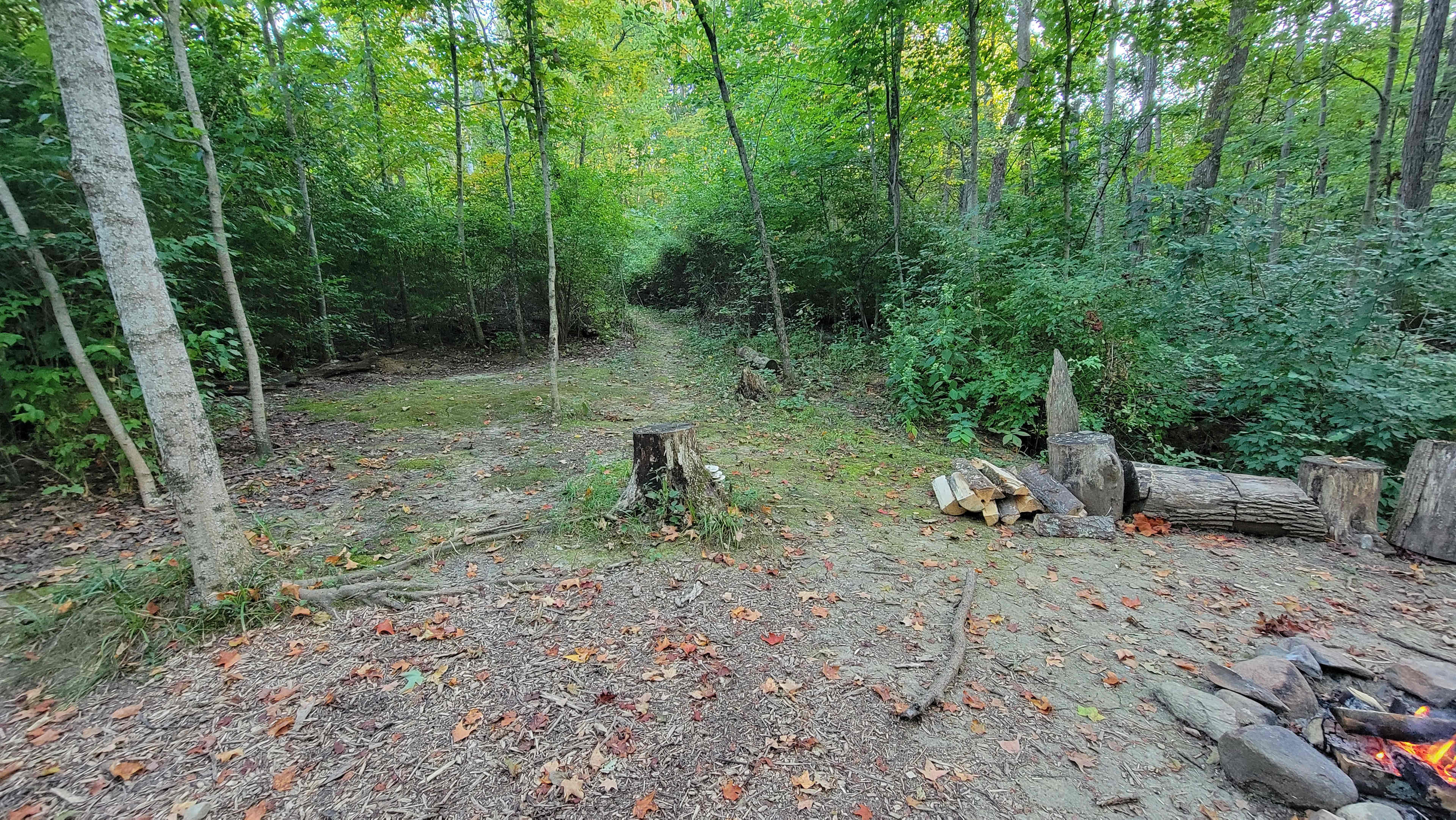 Site 5 tent pad.