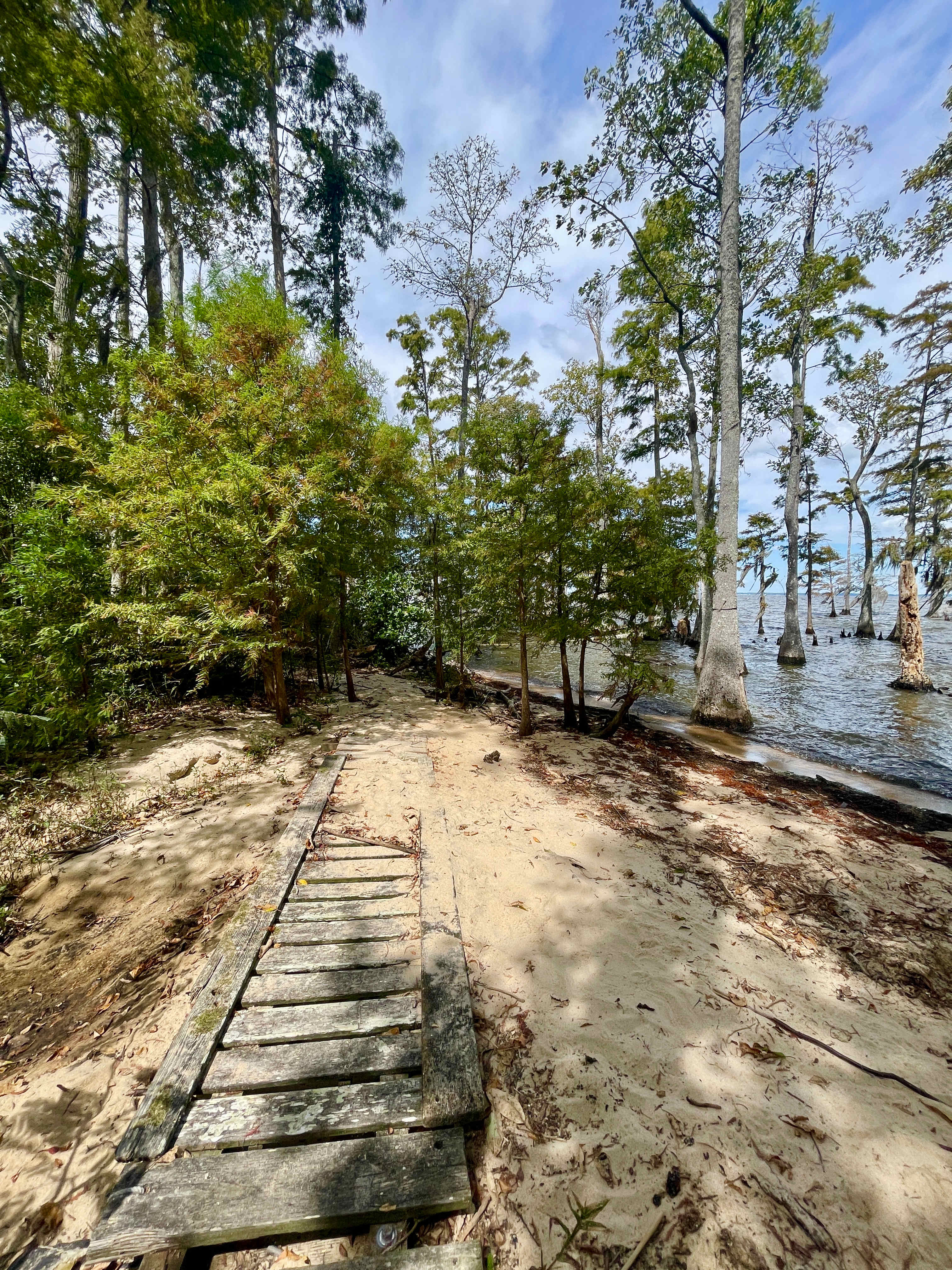 Trail along the sound.