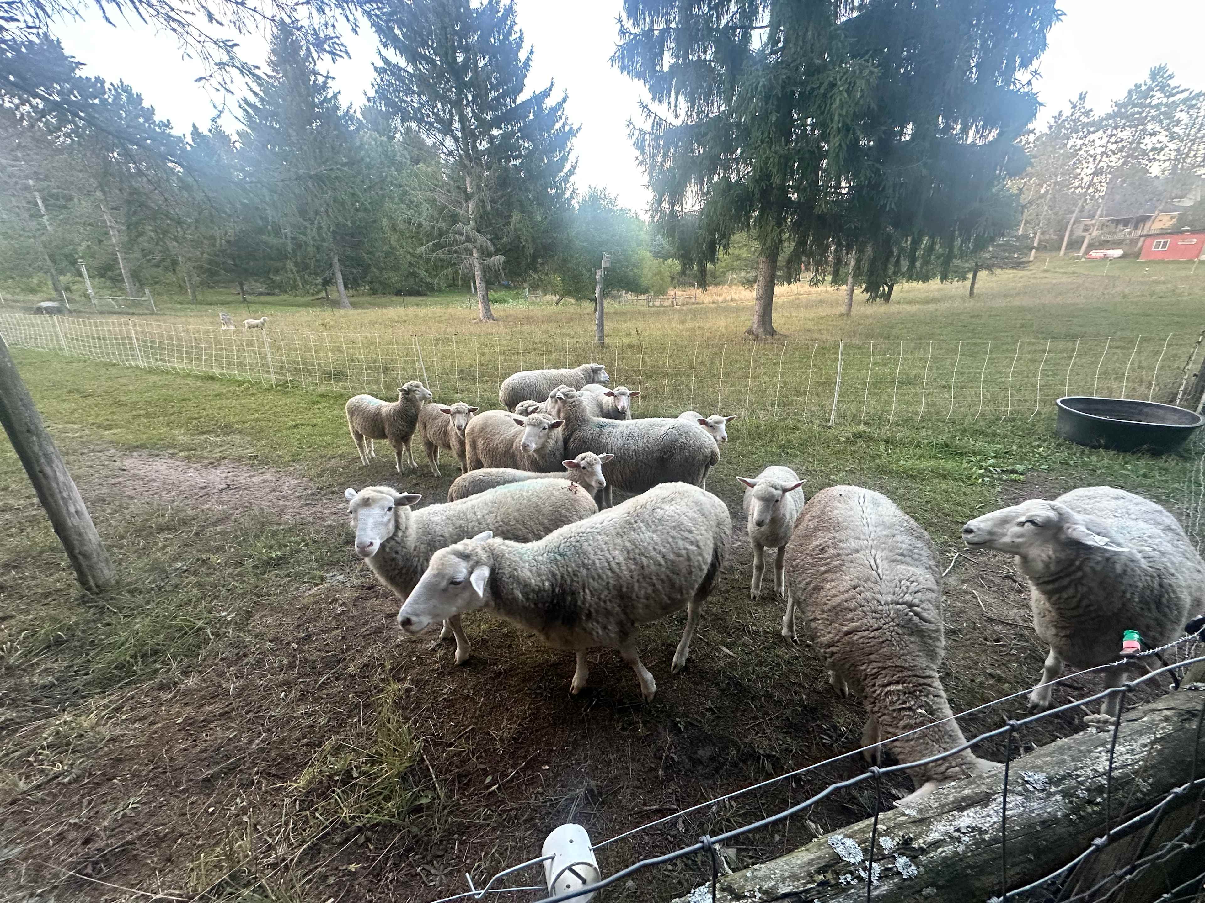 Harvest Village - Farmstay
