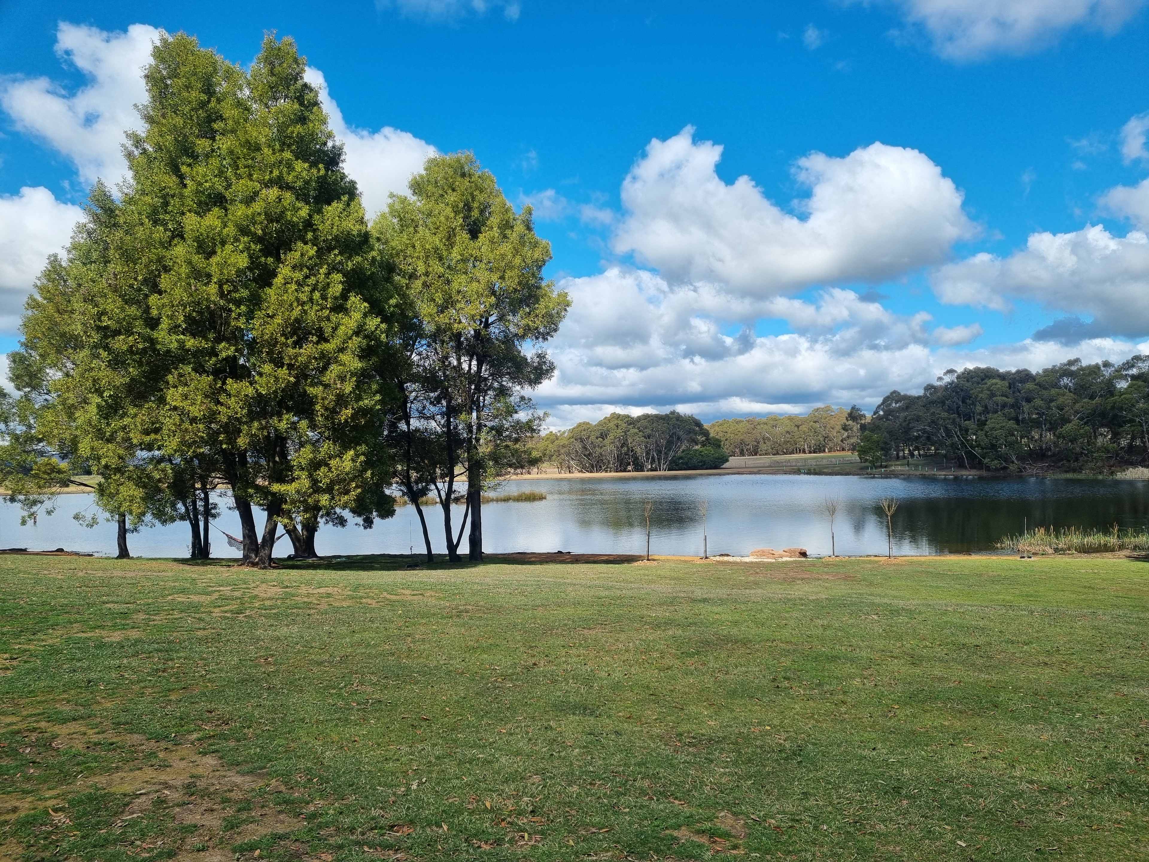 Lancefield Lake's A WETLANDS WONDER