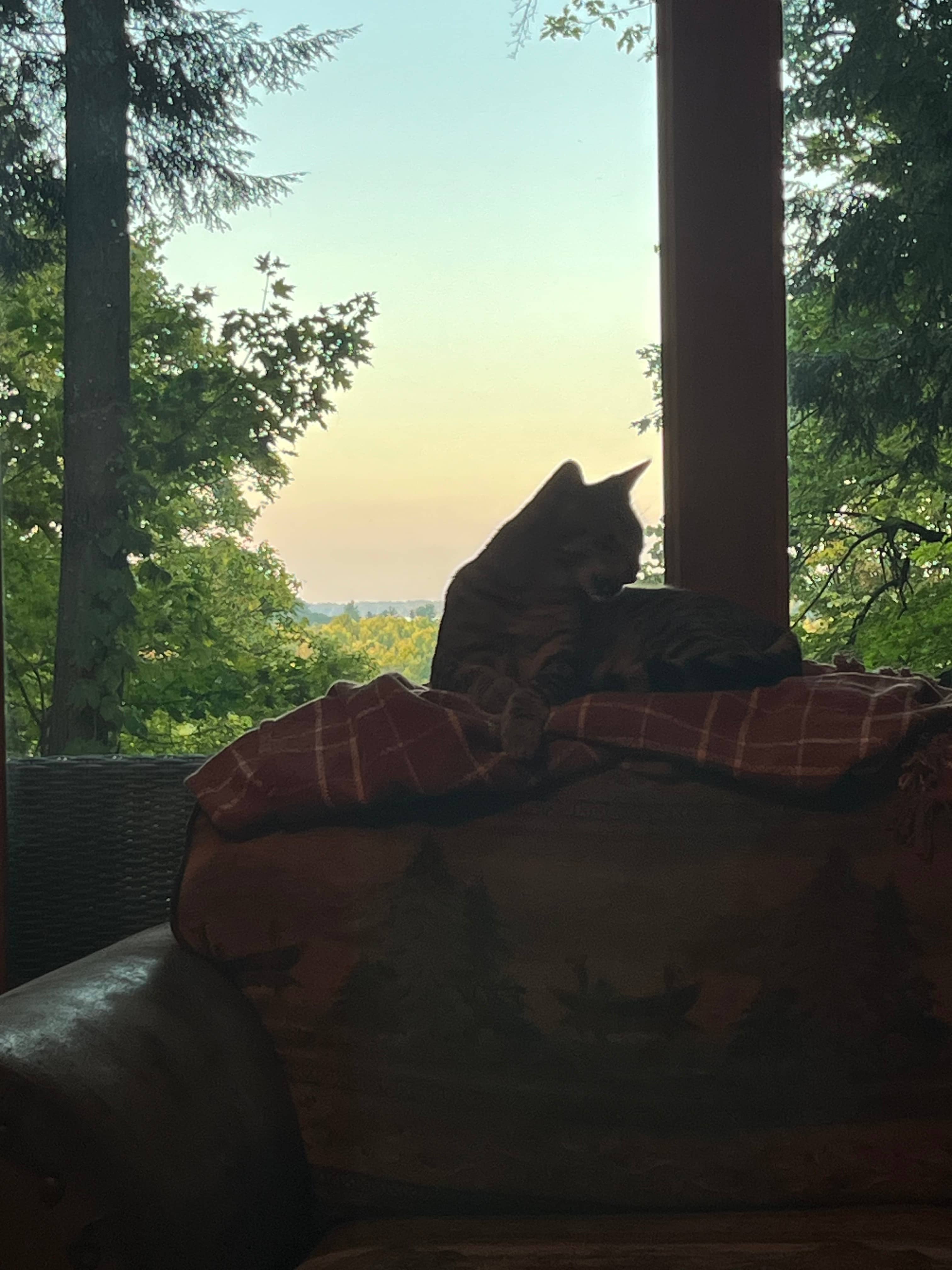 Muskegon Pines-Lake Cabin