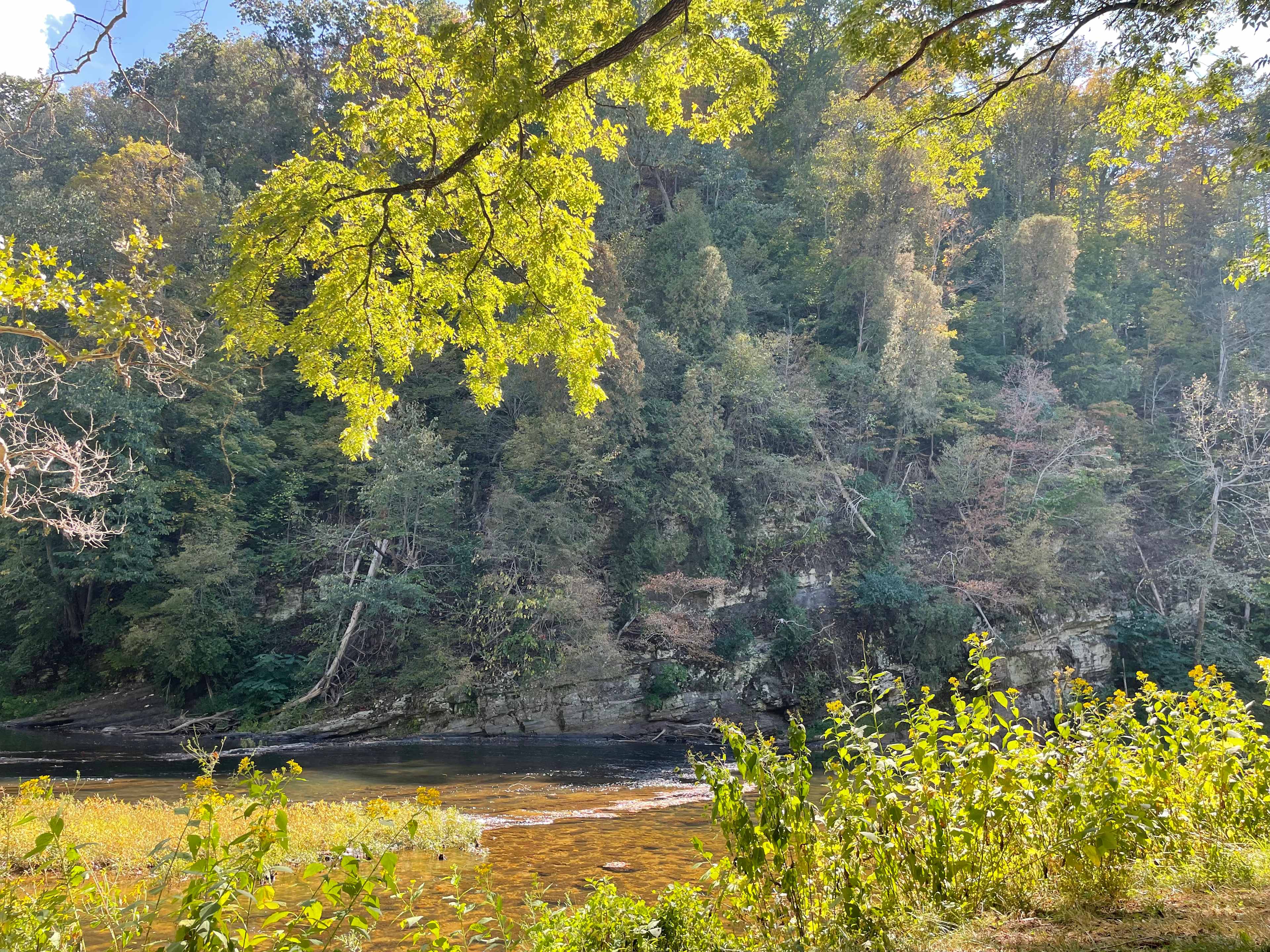 The creek behind the camp site. Beautiful!