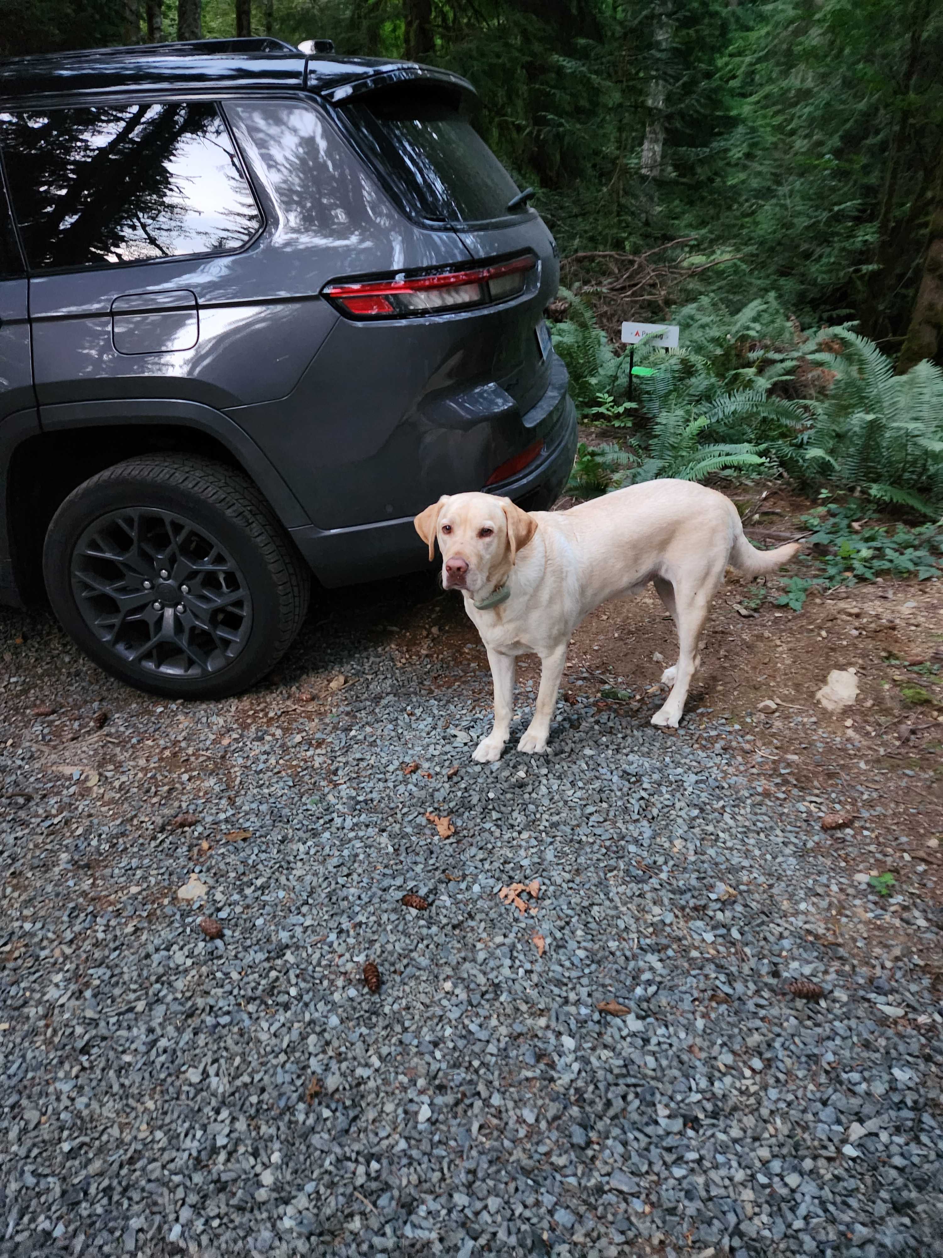 Grace E.’s Mini Forest Cabins