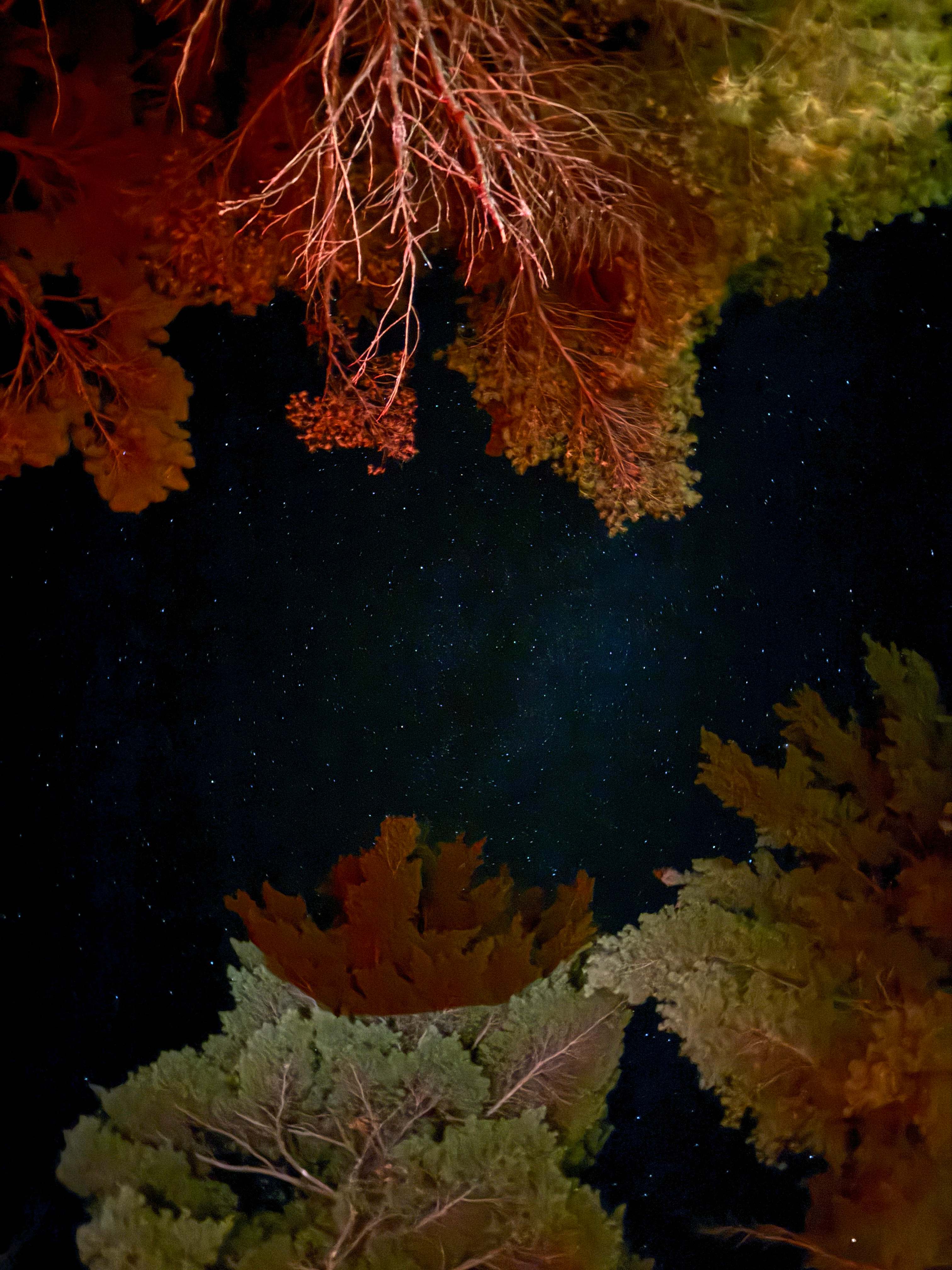 Hemlock Point Campground