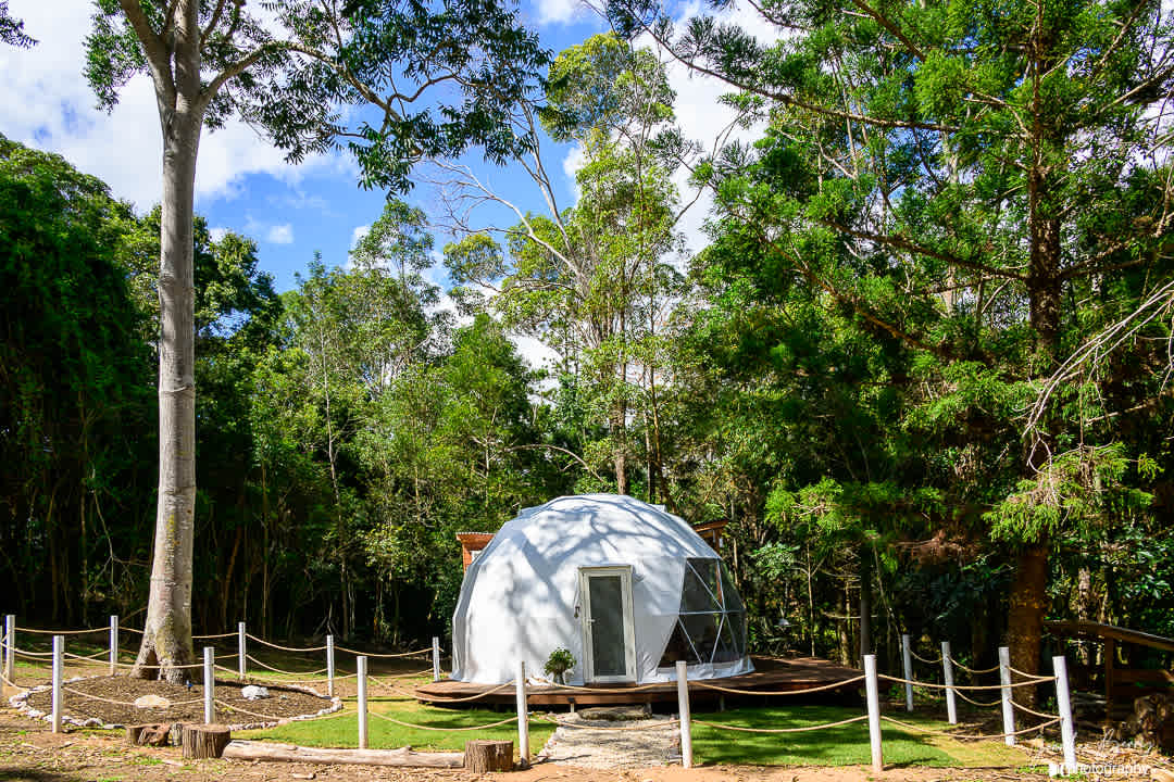Solace Dome-the tranquil healing space within nature