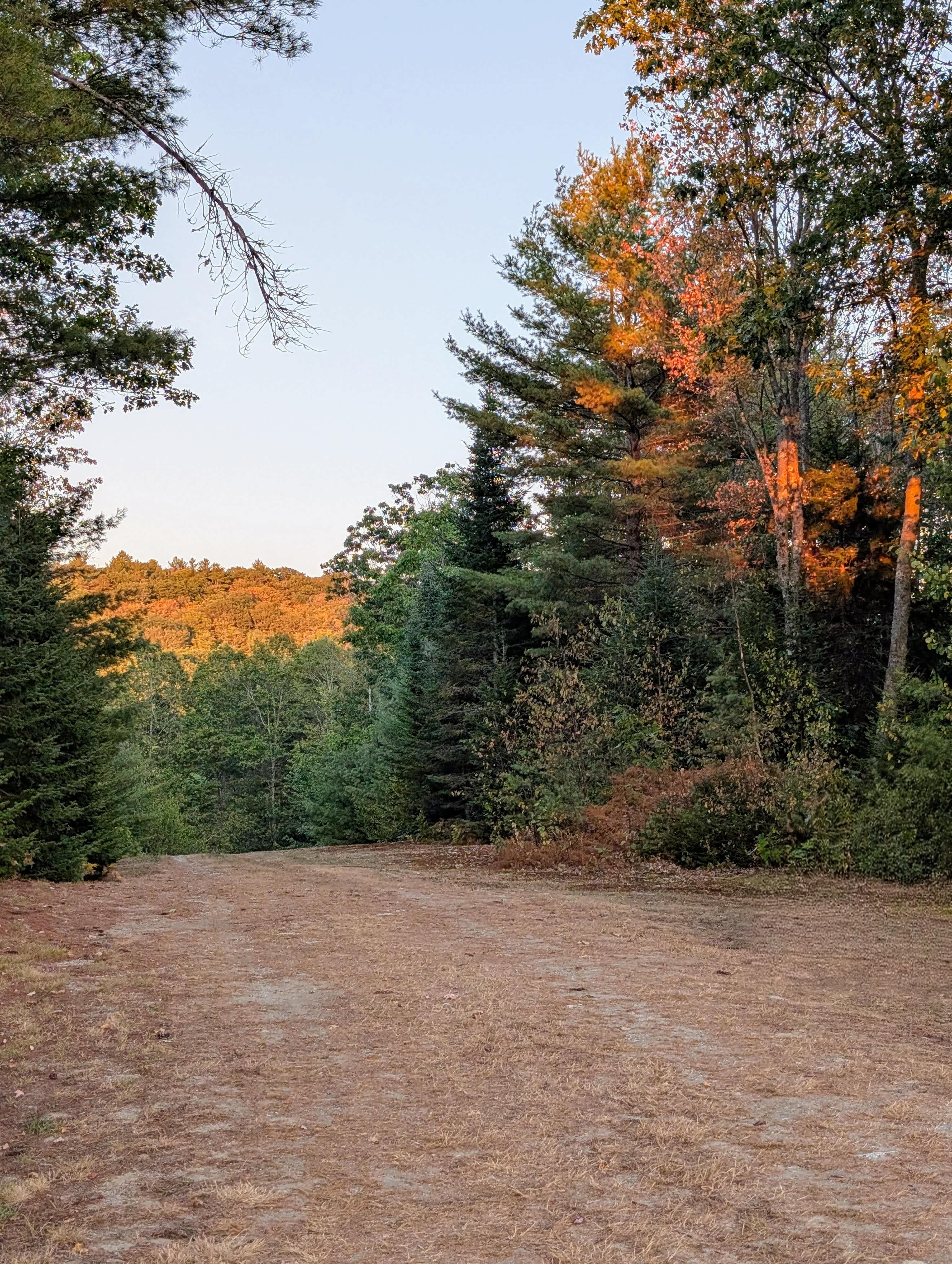 Private Forest with a View!