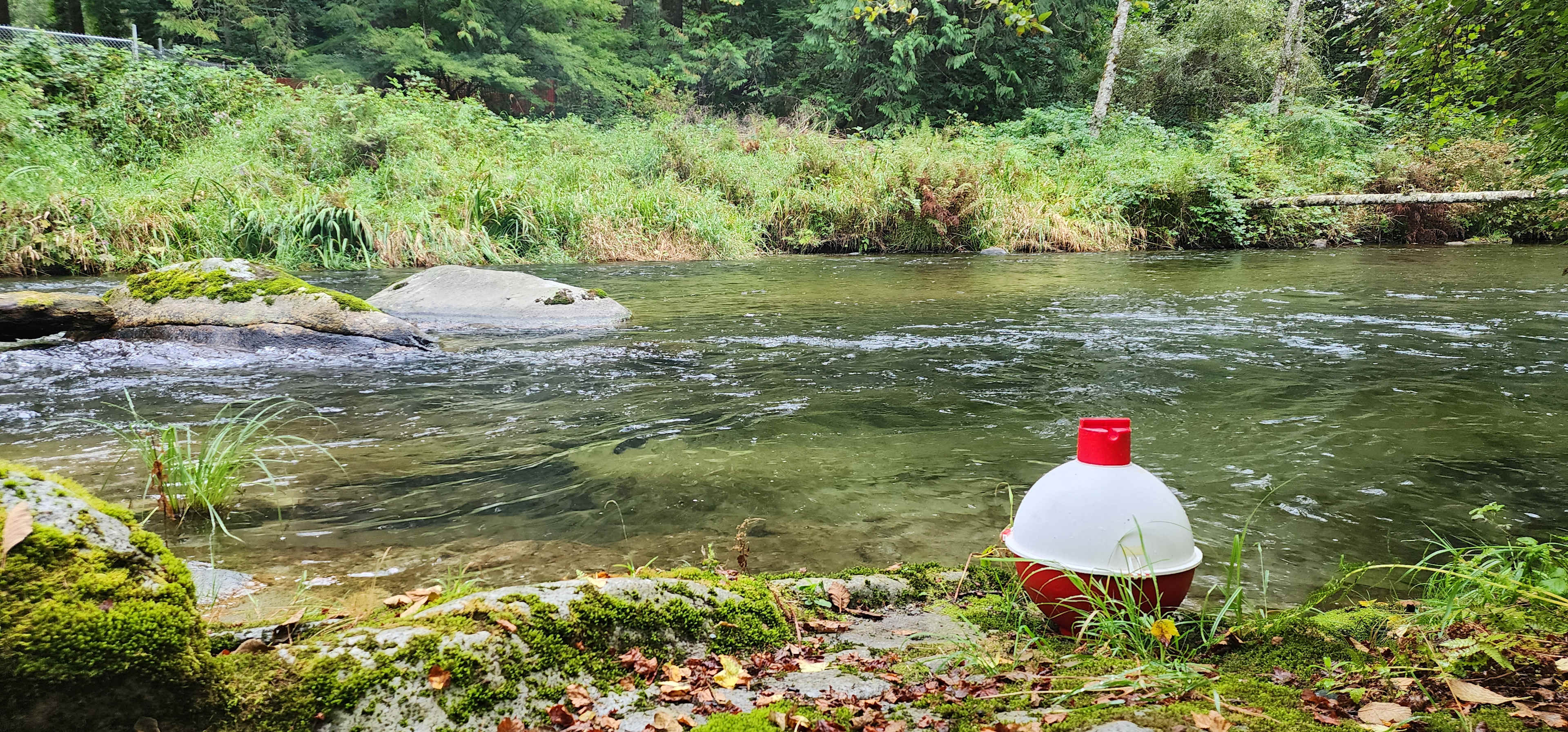 Escape to Golden Ears Glamping