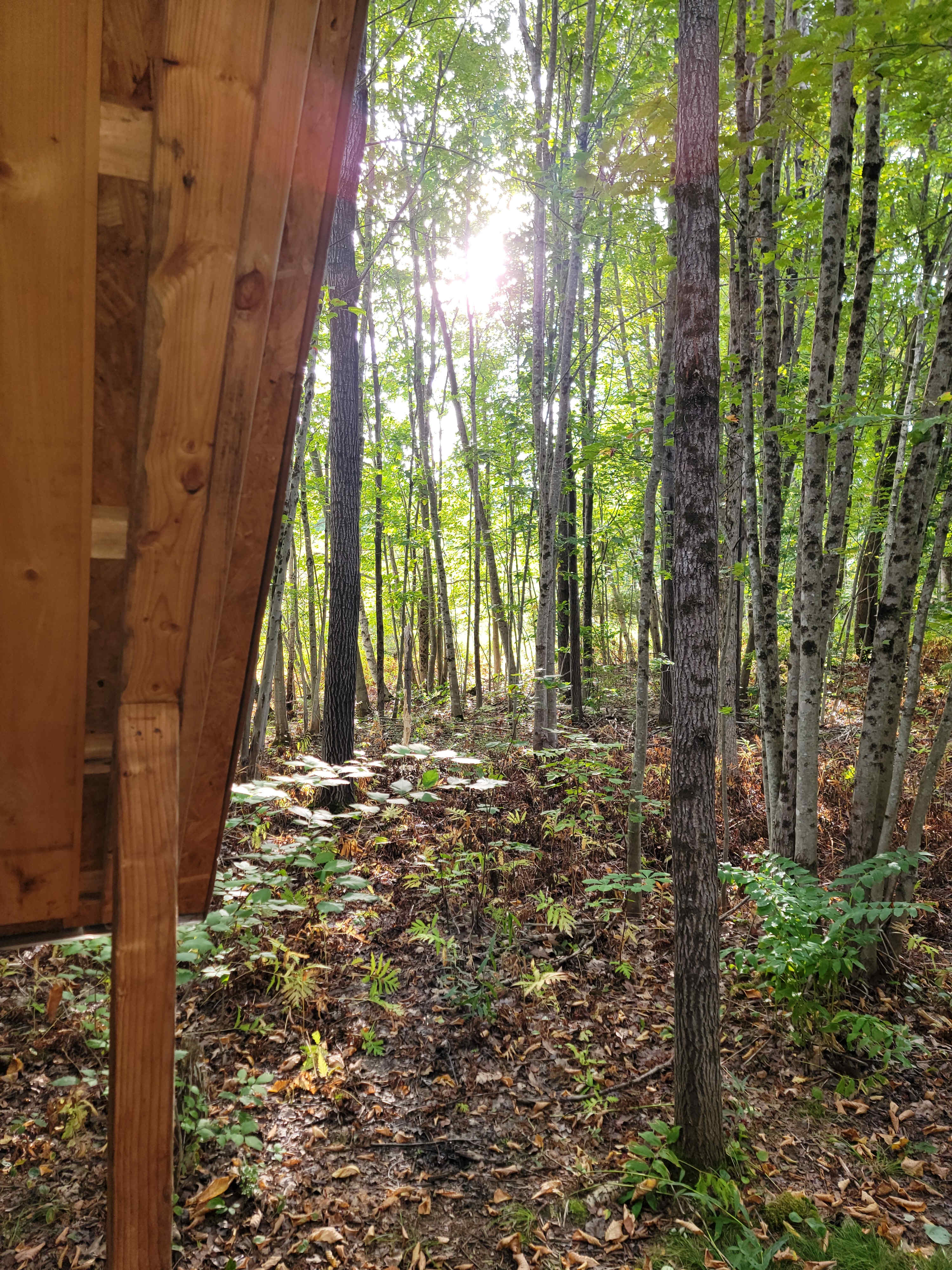 Insulated Tiny Cabin
