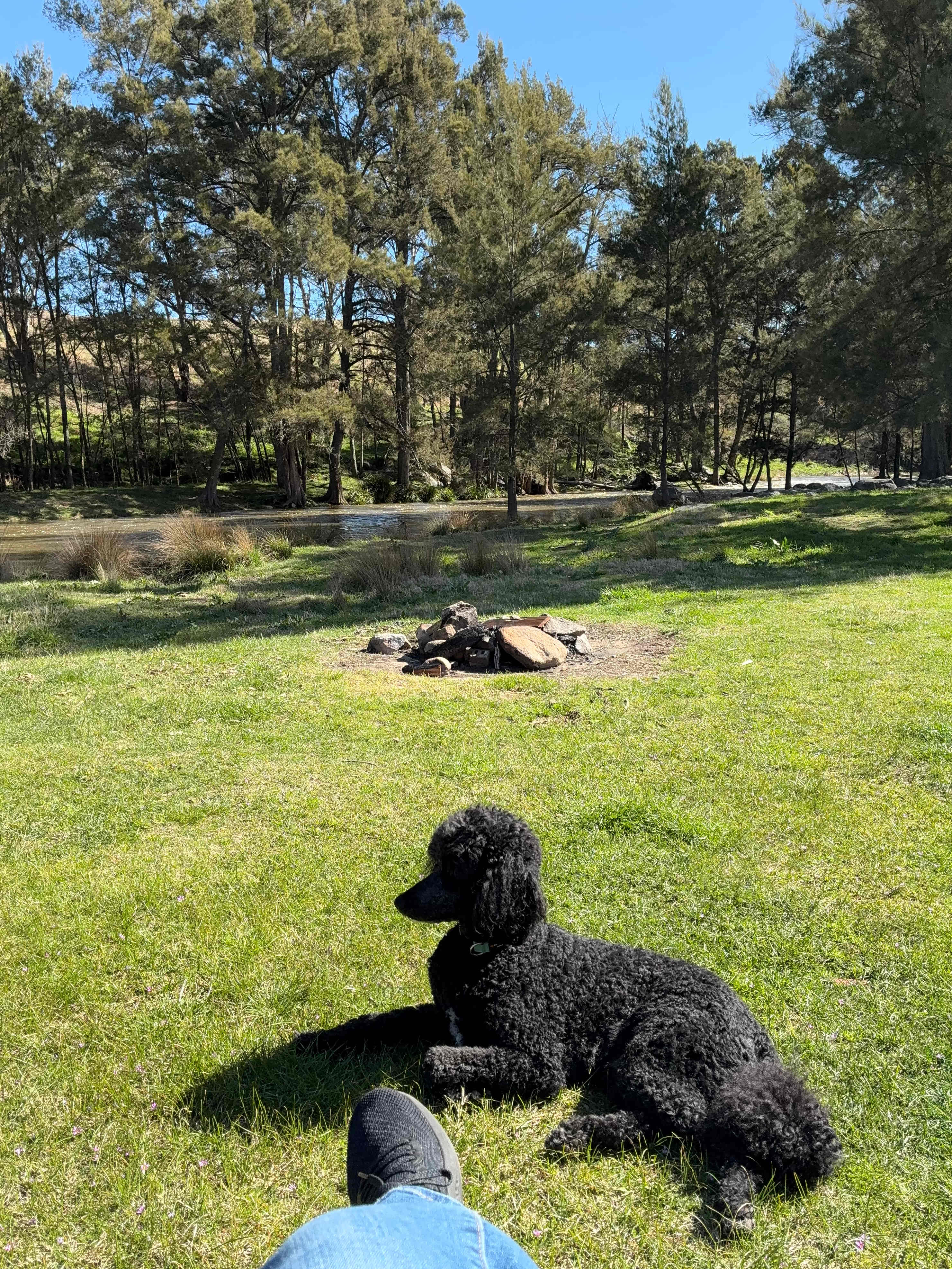 Glenroy Cottages and Camping