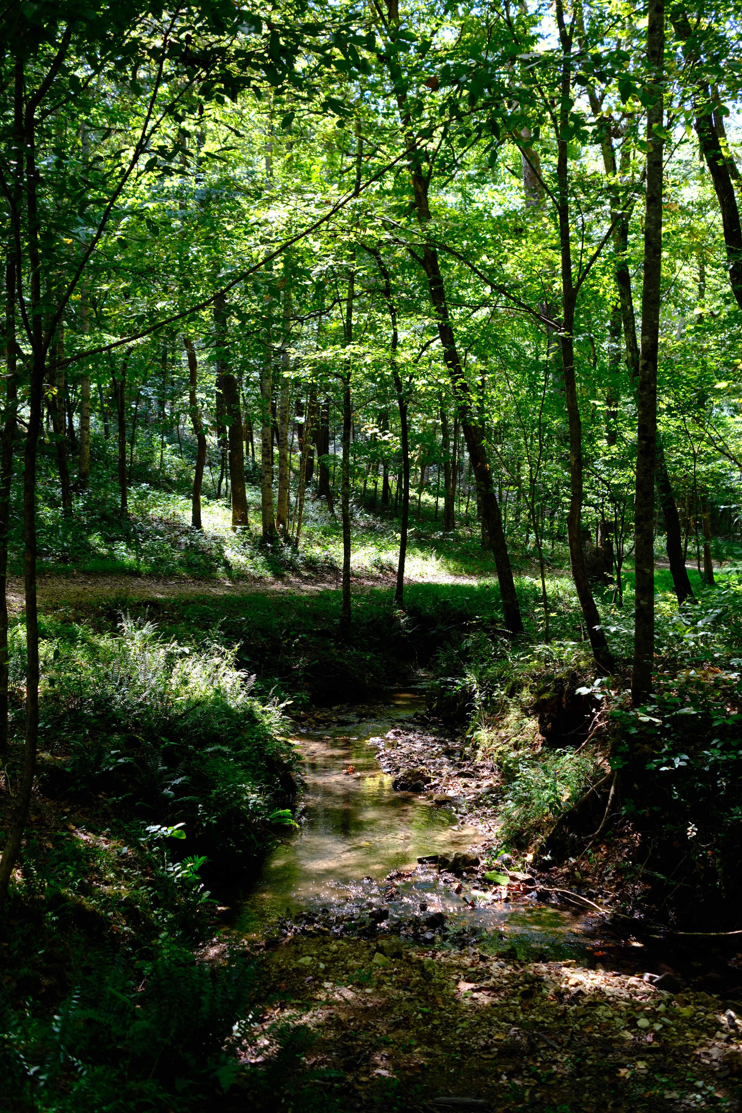 Lionsgate Campground